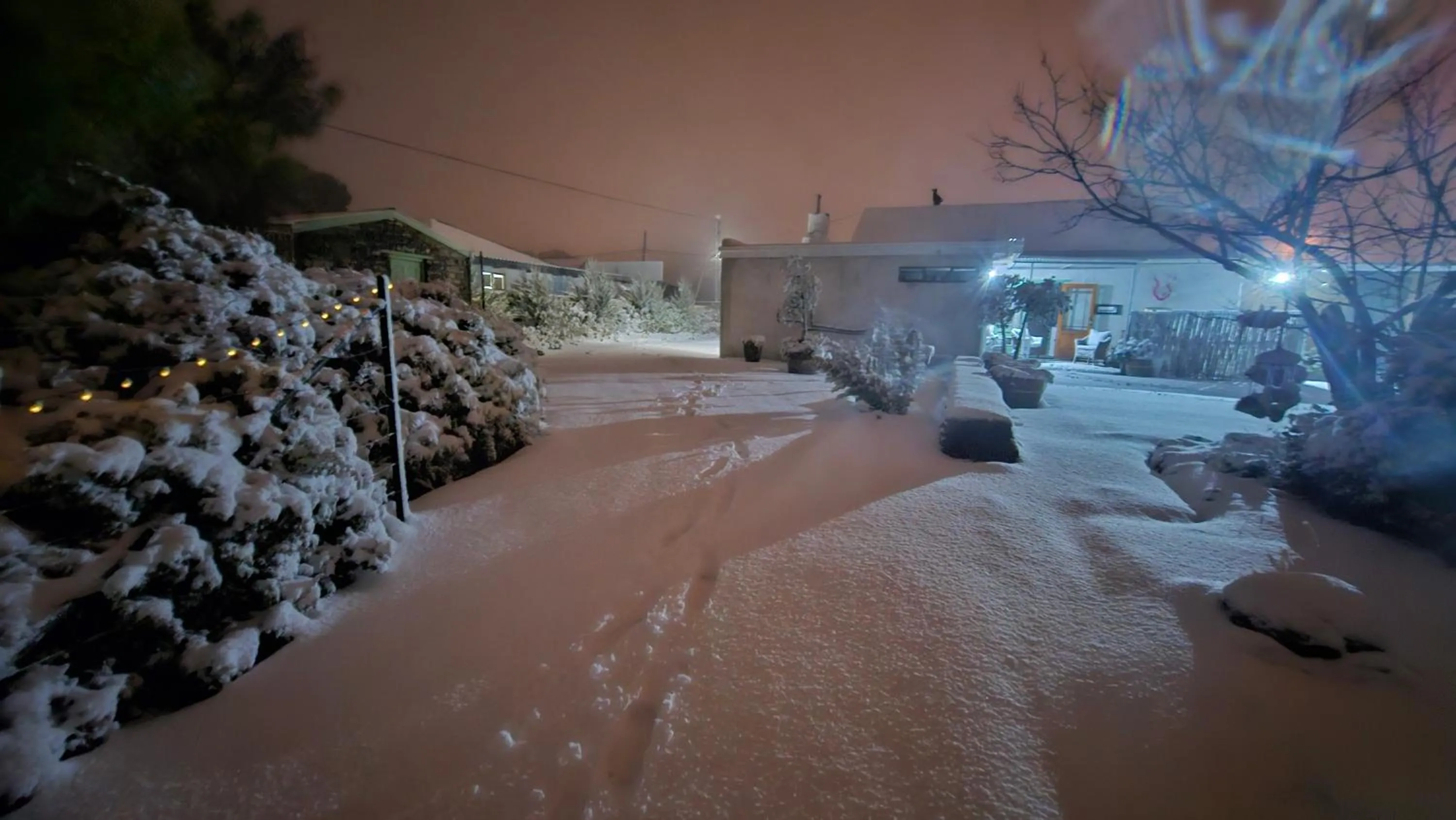 Winter in Perlman House