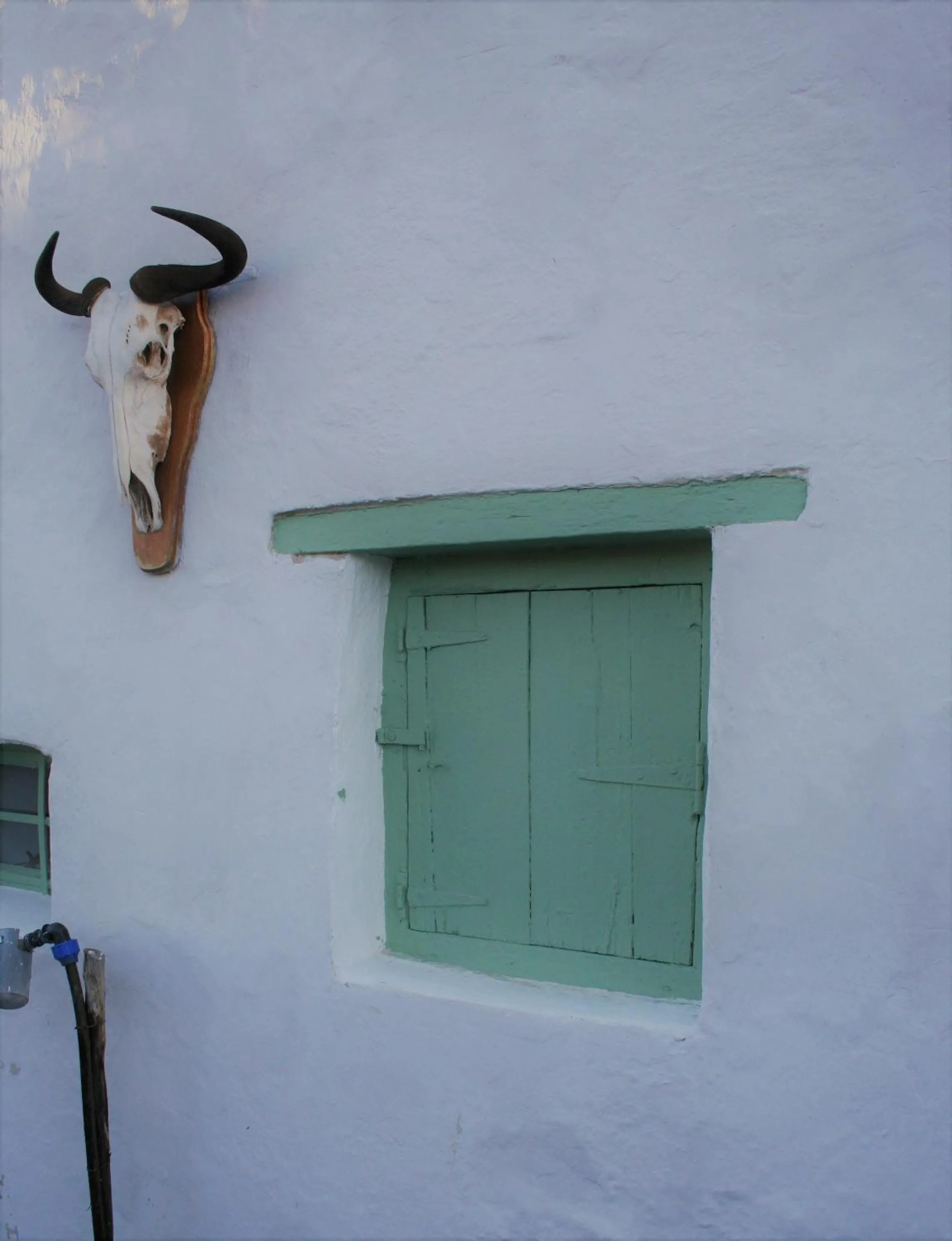 Decorative detail in Perlman House