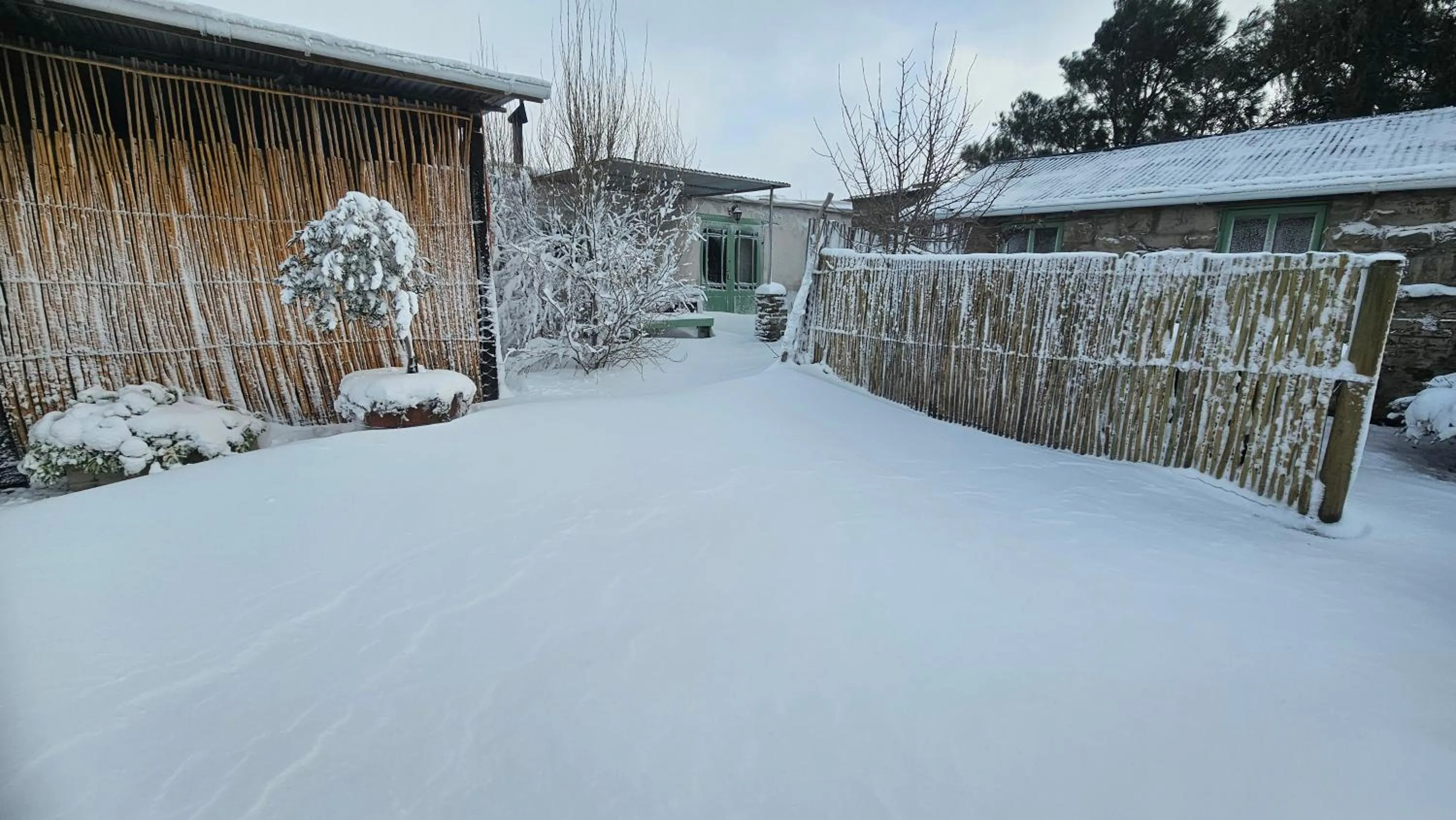 Winter in Perlman House
