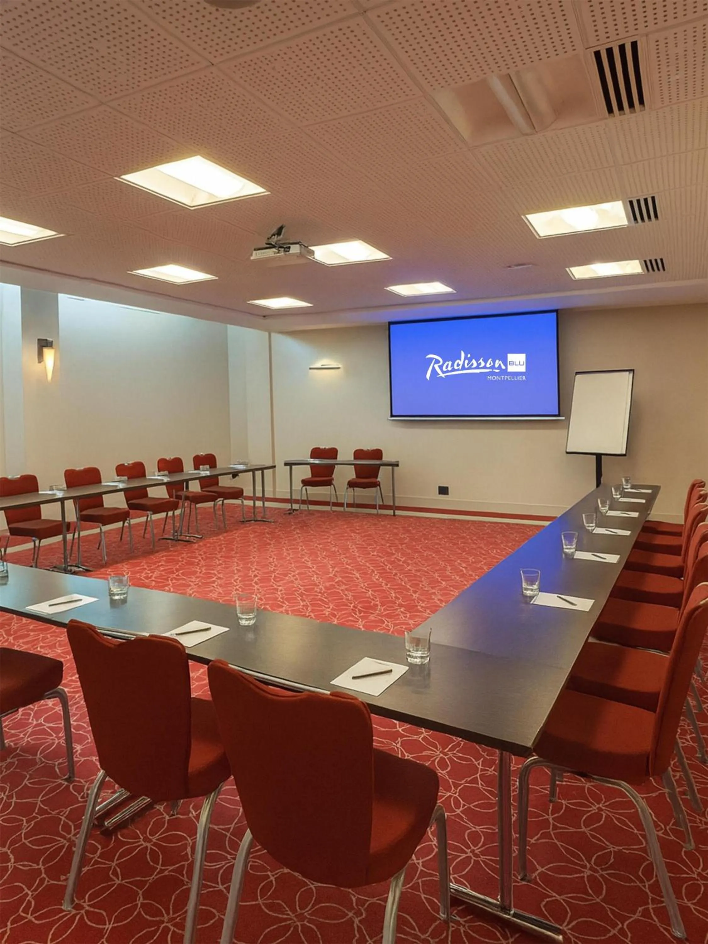Meeting/conference room in Radisson Blu Hotel, Montpellier