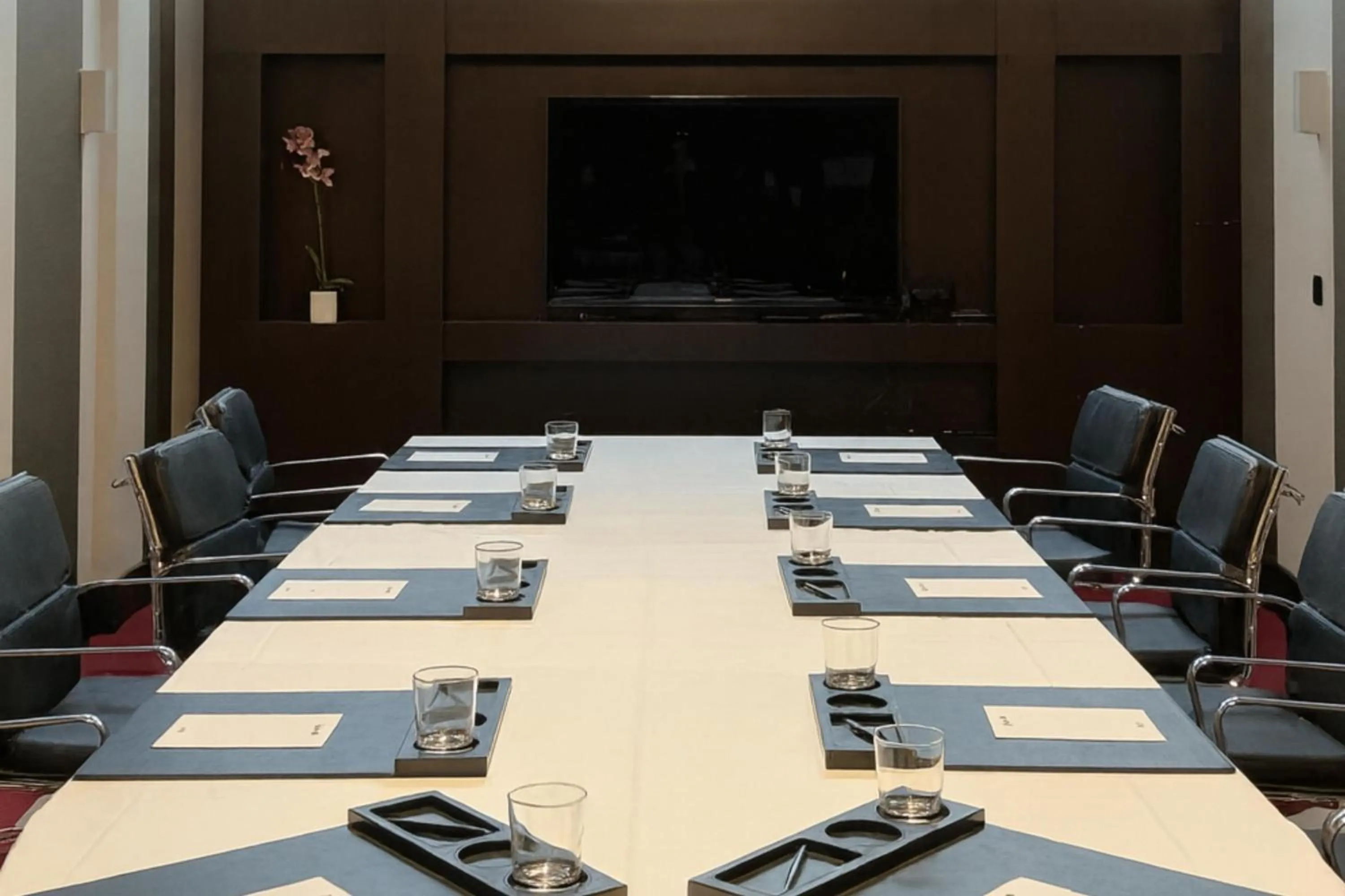 Meeting/conference room in Radisson Blu Hotel, Montpellier