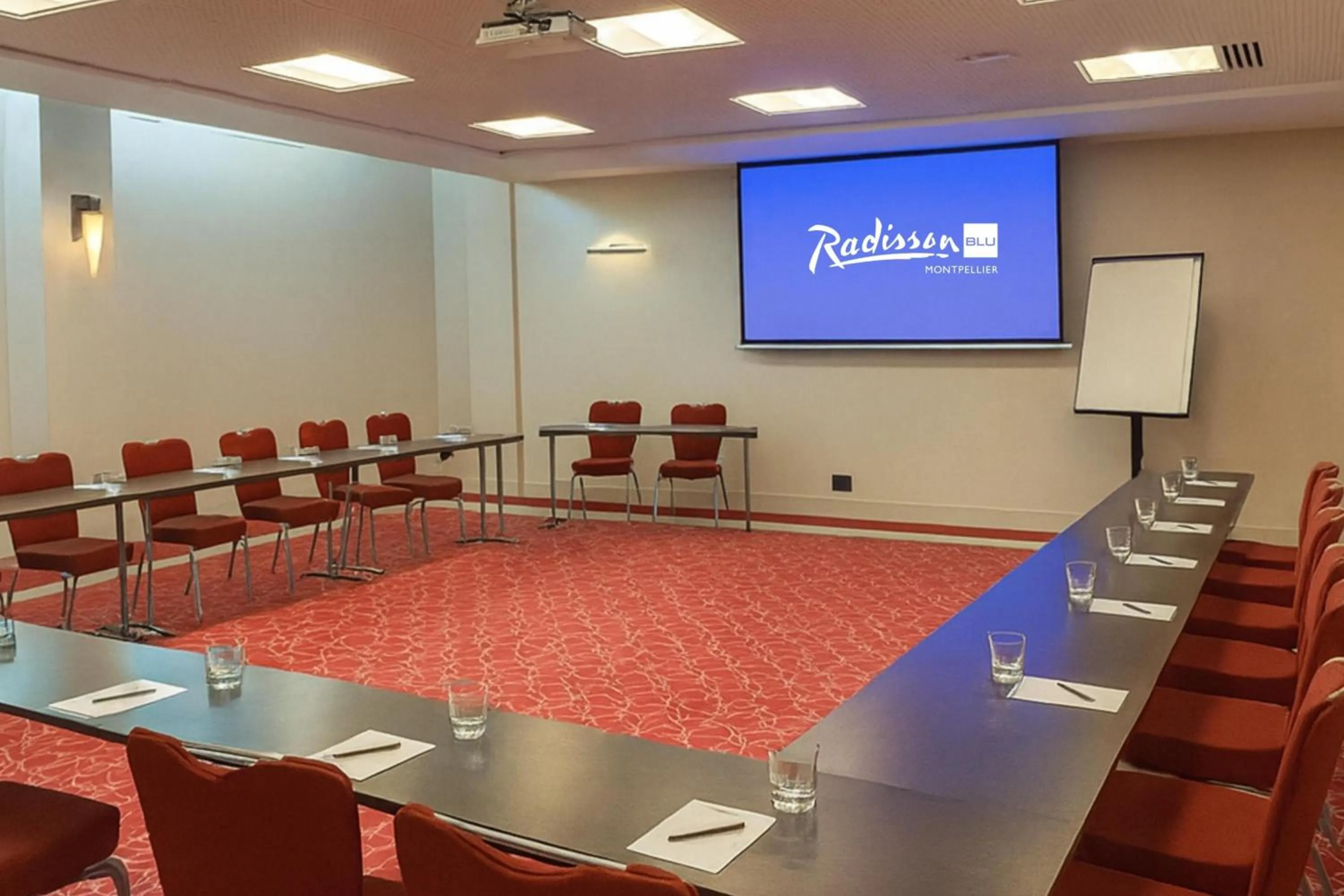 Meeting/conference room in Radisson Blu Hotel, Montpellier