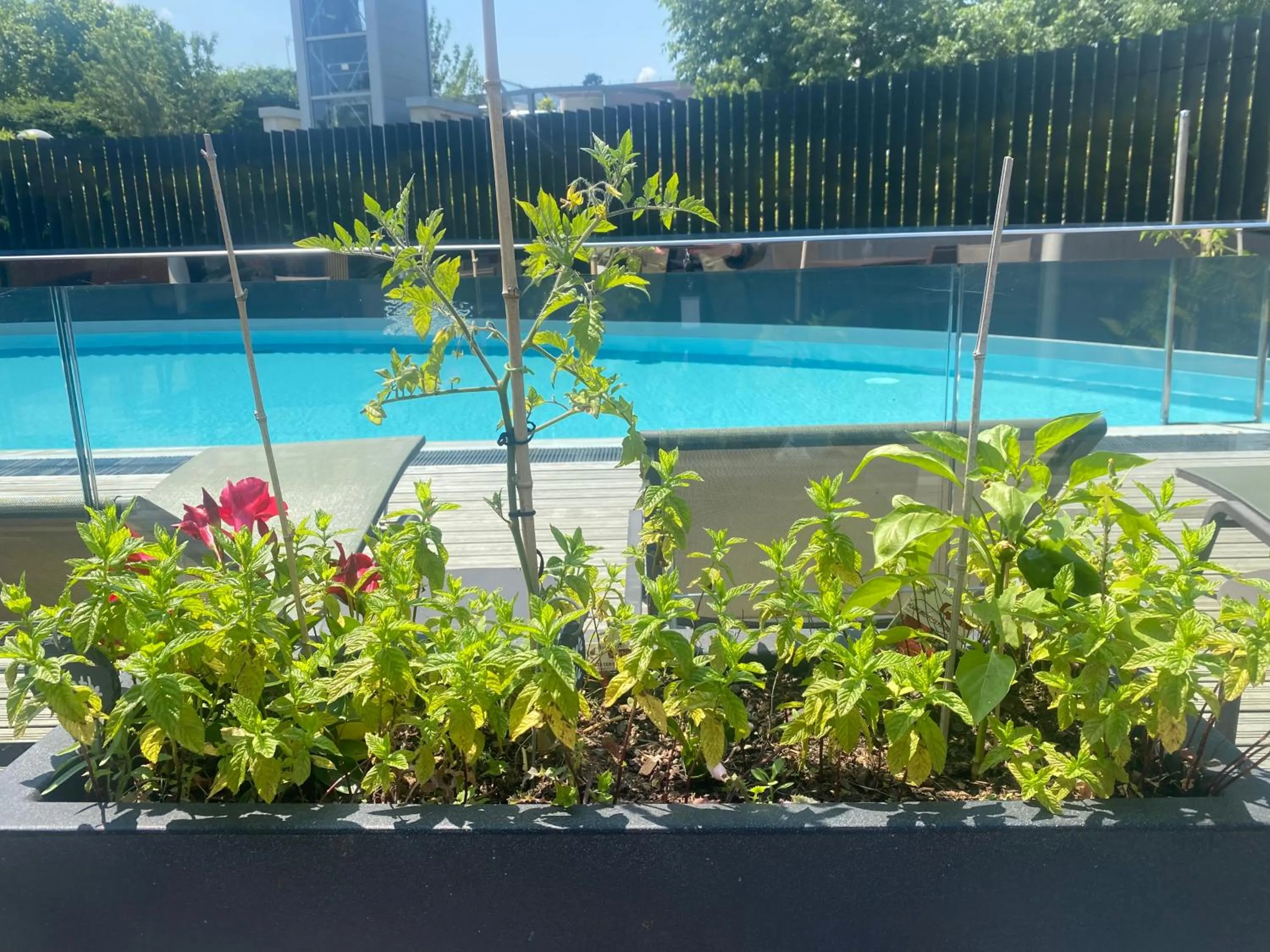 Restaurant/places to eat in Radisson Blu Hotel, Montpellier