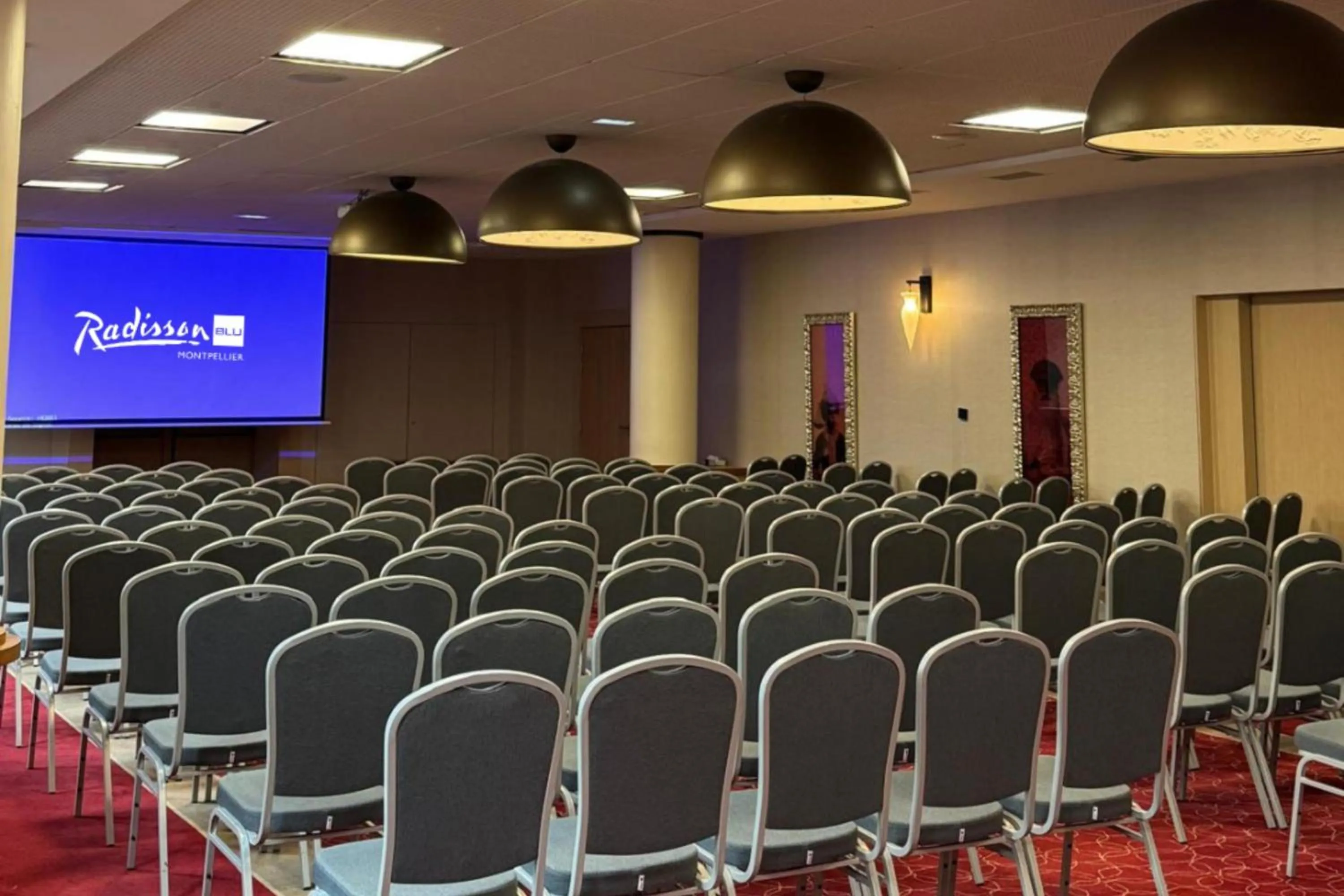 Meeting/conference room in Radisson Blu Hotel, Montpellier