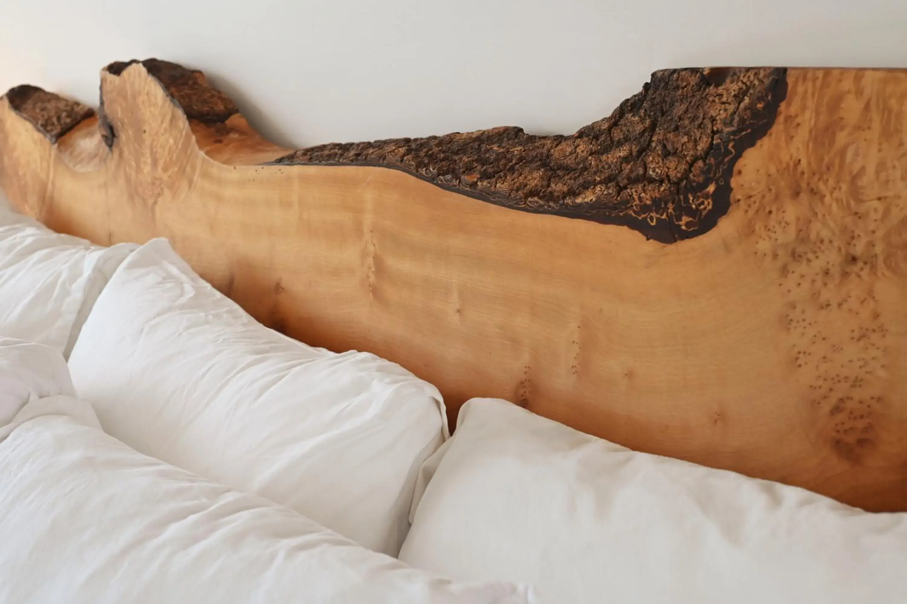 Bed in The Astro Bed in The Astro