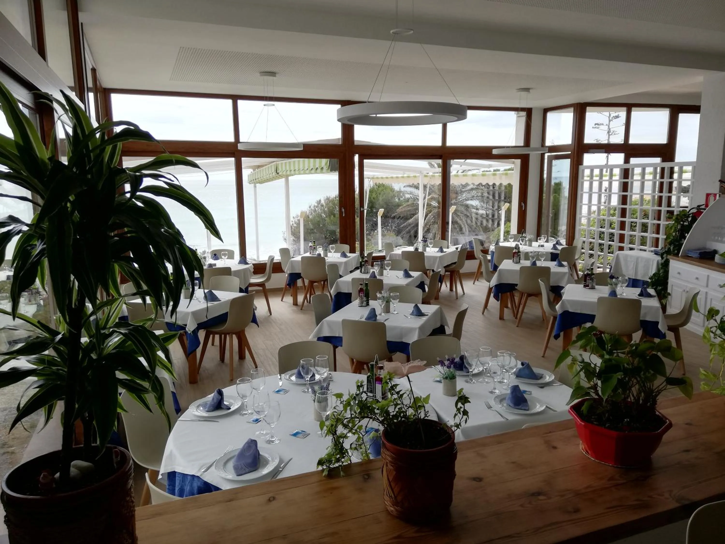 Restaurant/places to eat in Hotel Llorca