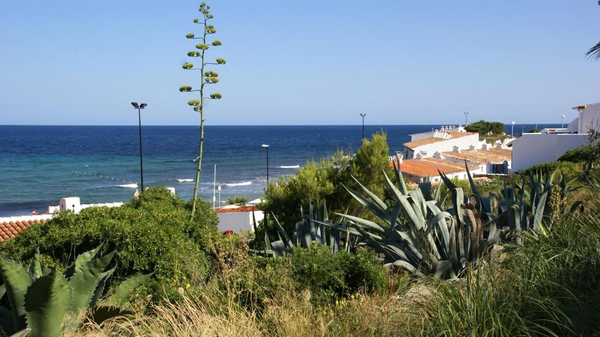 Area and facilities in Hotel Llorca