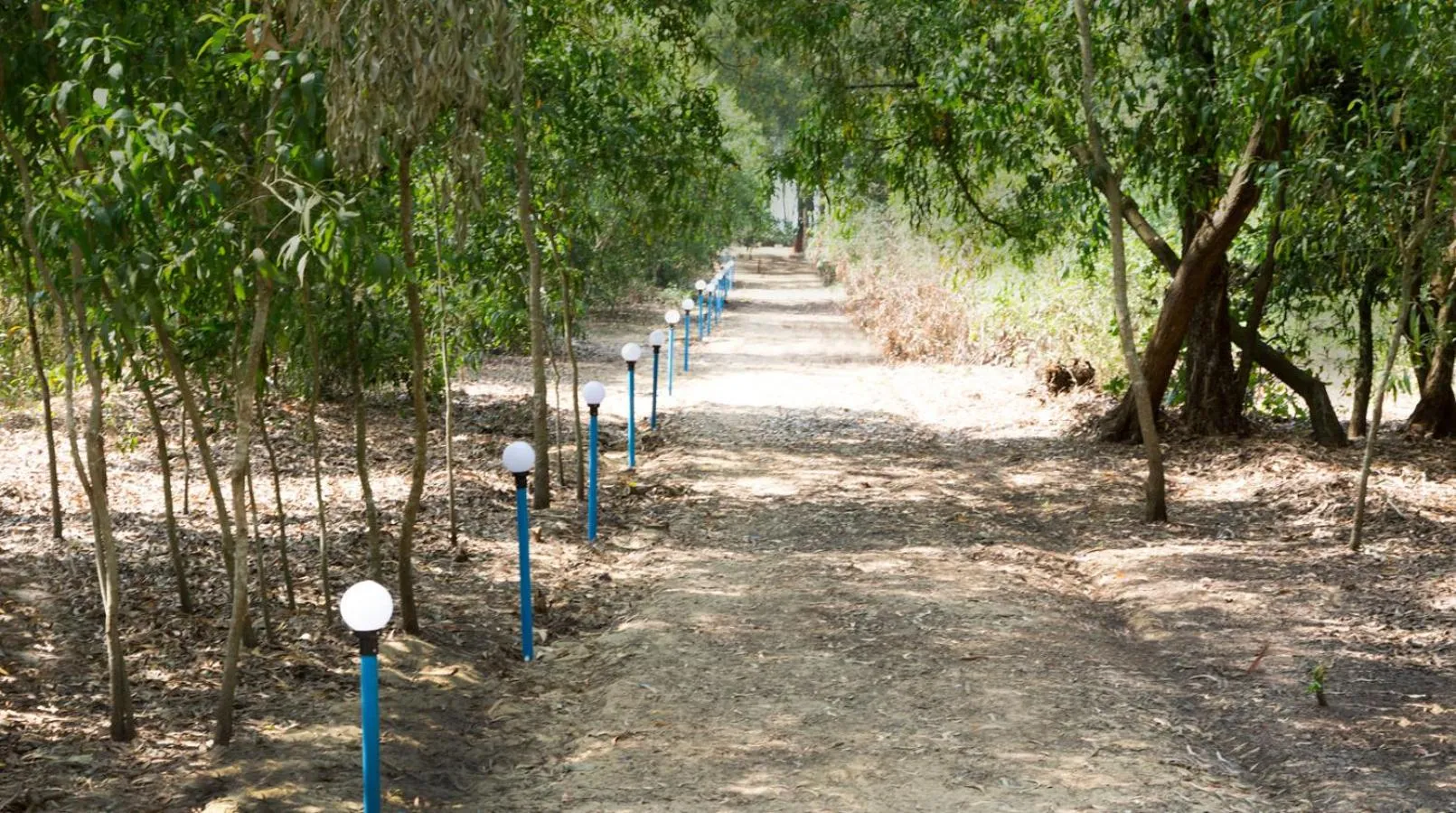 Natural landscape in Blue Ocean Sands - On the Beach