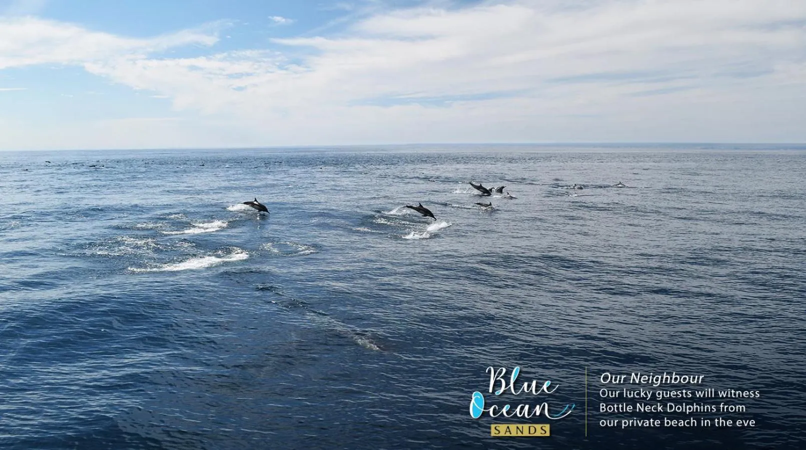 Fishing in Blue Ocean Sands - On the Beach