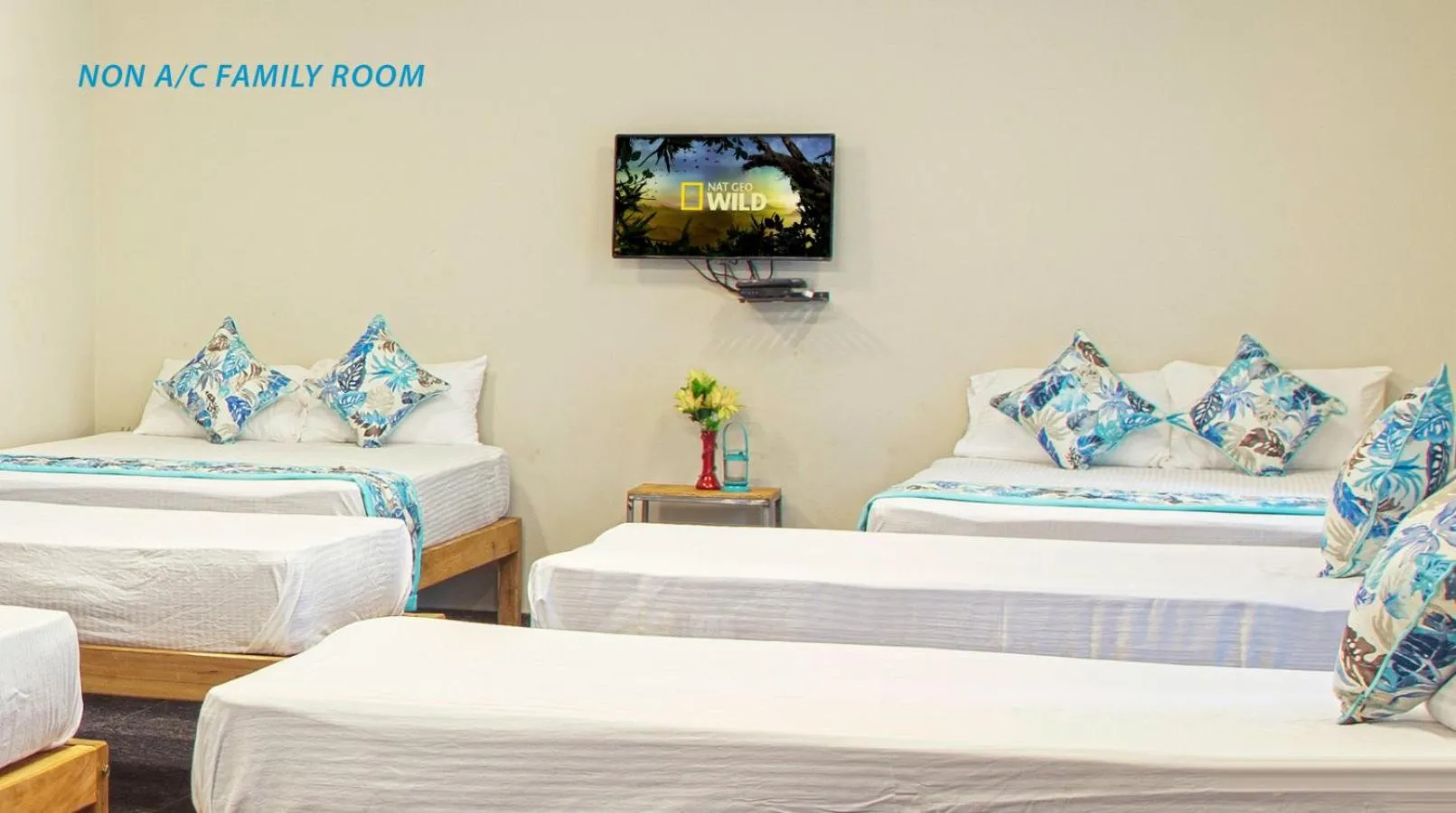 Bed in Blue Ocean Sands - On the Beach