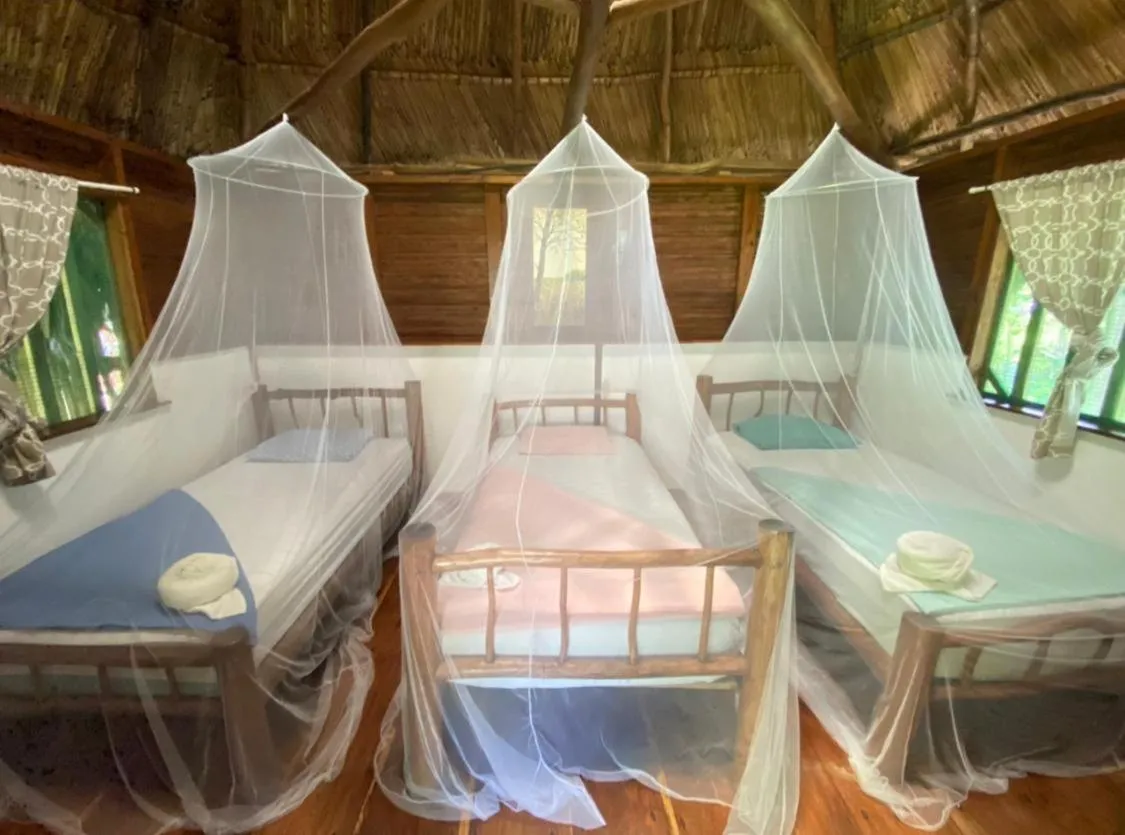 Bed in Casa de la Iguana