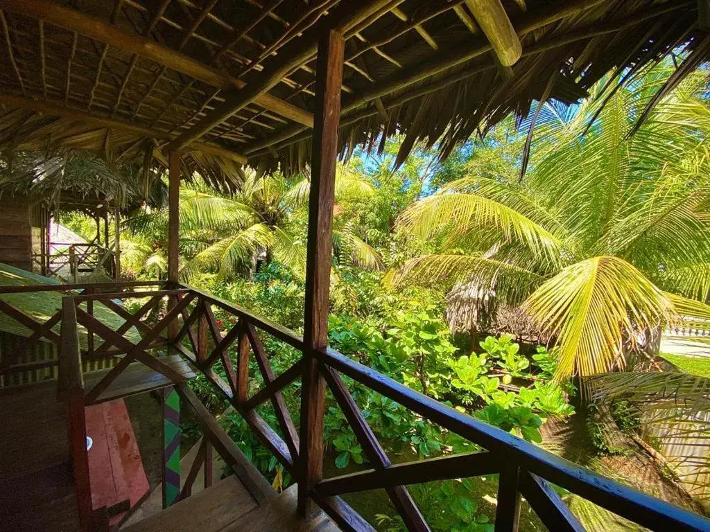 Double Room with Shared Bathroom in Casa de la Iguana Double Room with Shared Bathroom in Casa de la Iguana