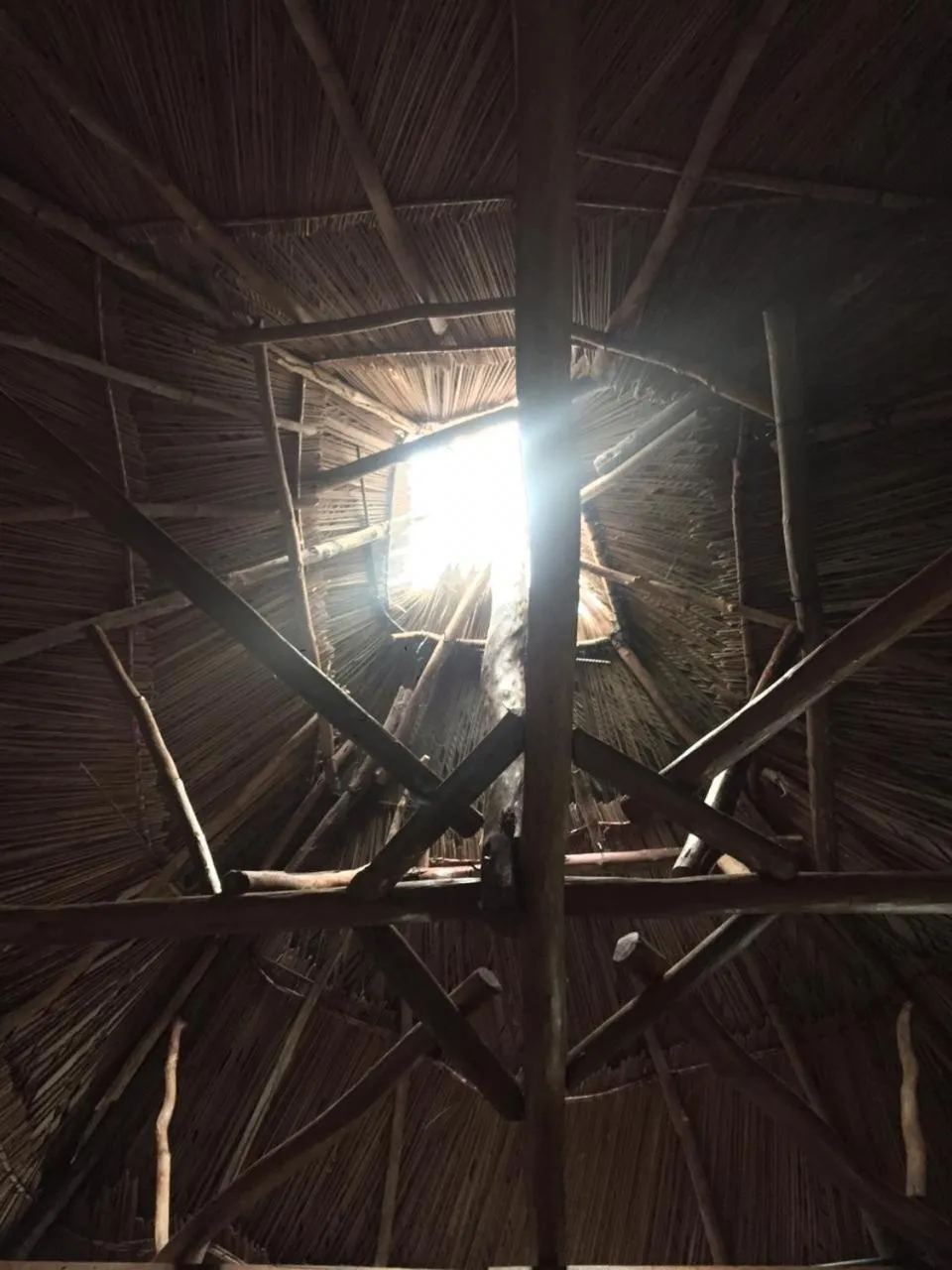 Property building in Casa de la Iguana
