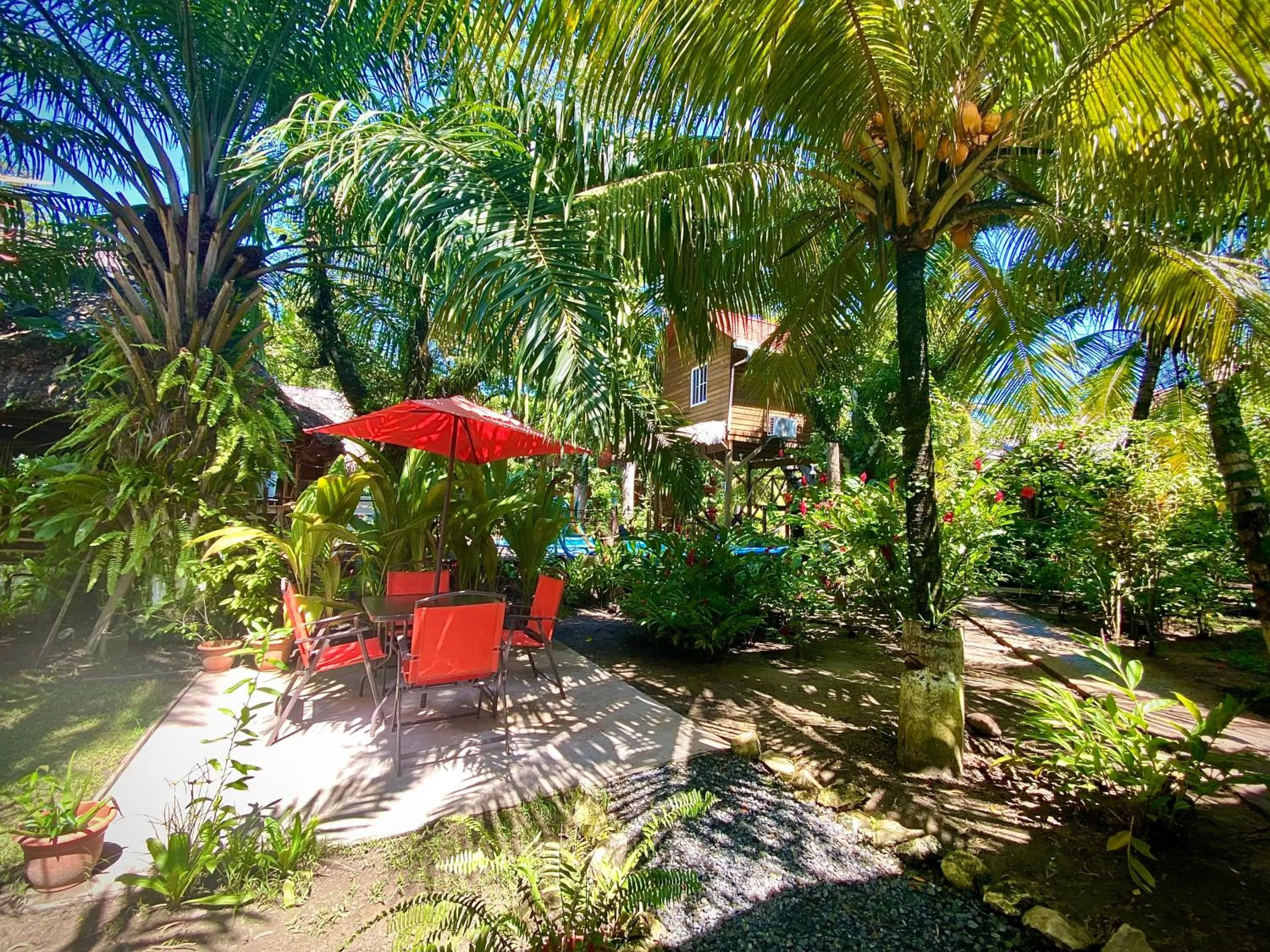 Balcony/Terrace in Casa de la Iguana