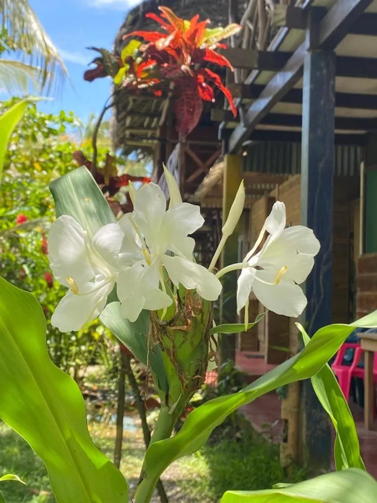 Casa de la Iguana