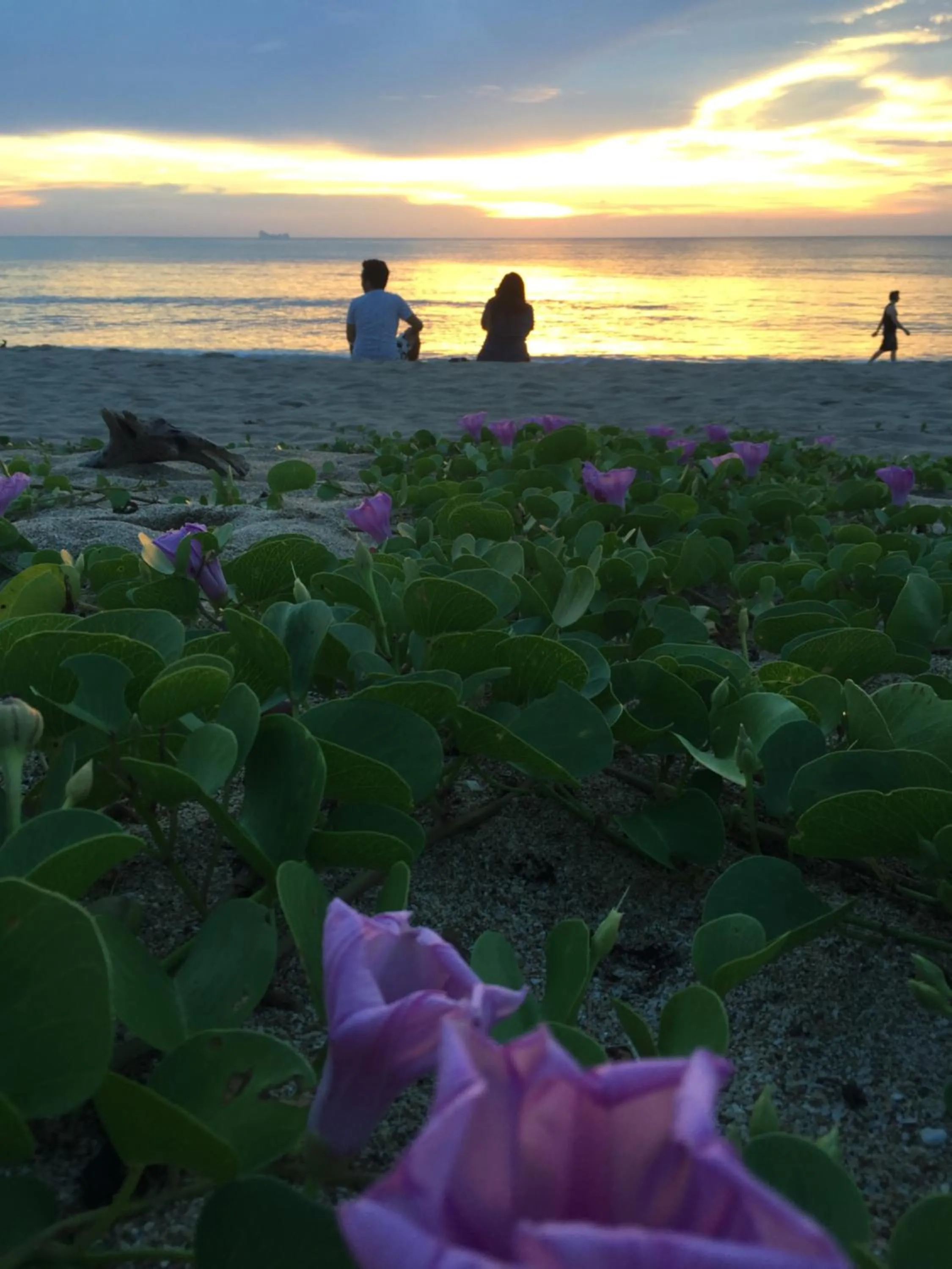 Beach in The Peace Tara House