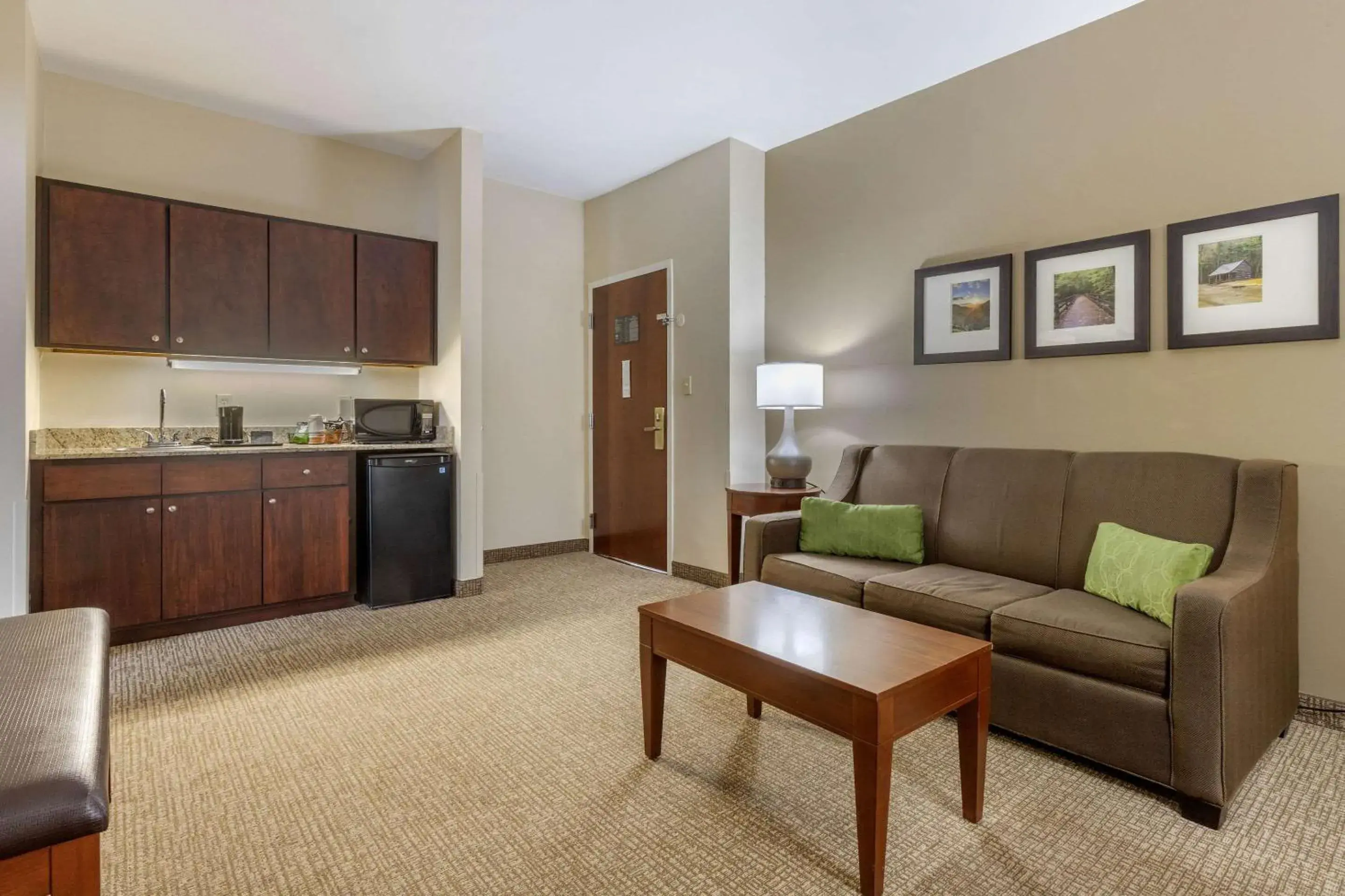 Photo of the whole room, Seating Area in Comfort Suites Johnson City near University