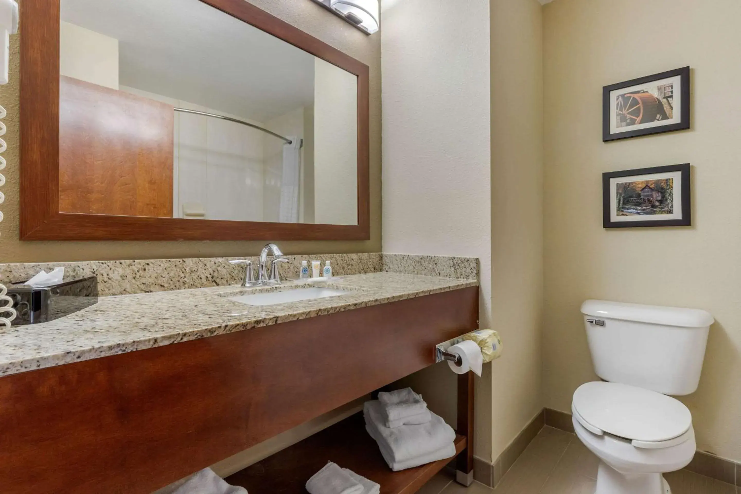 Bathroom in Comfort Suites Johnson City near University