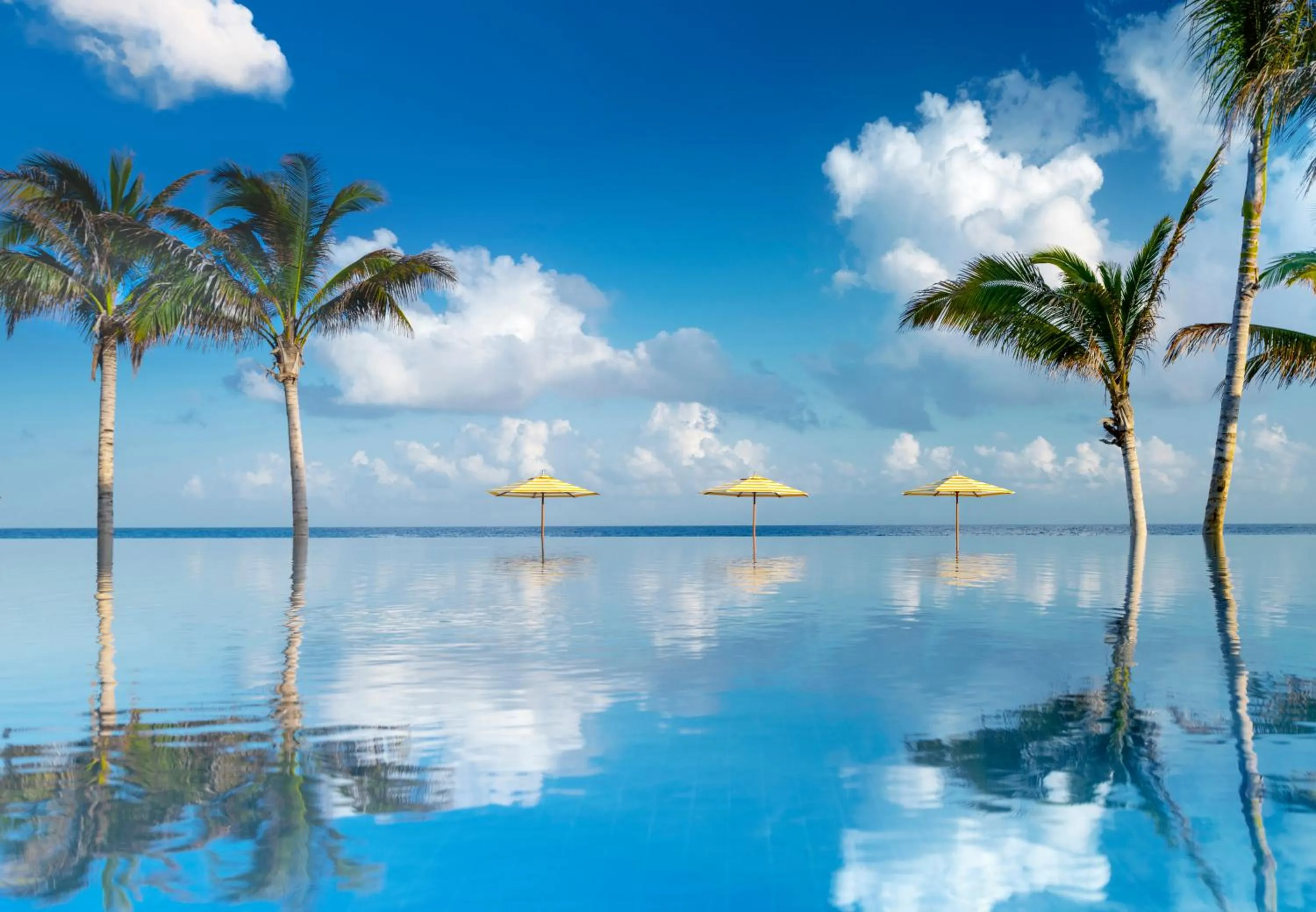 Swimming pool in Half Moon