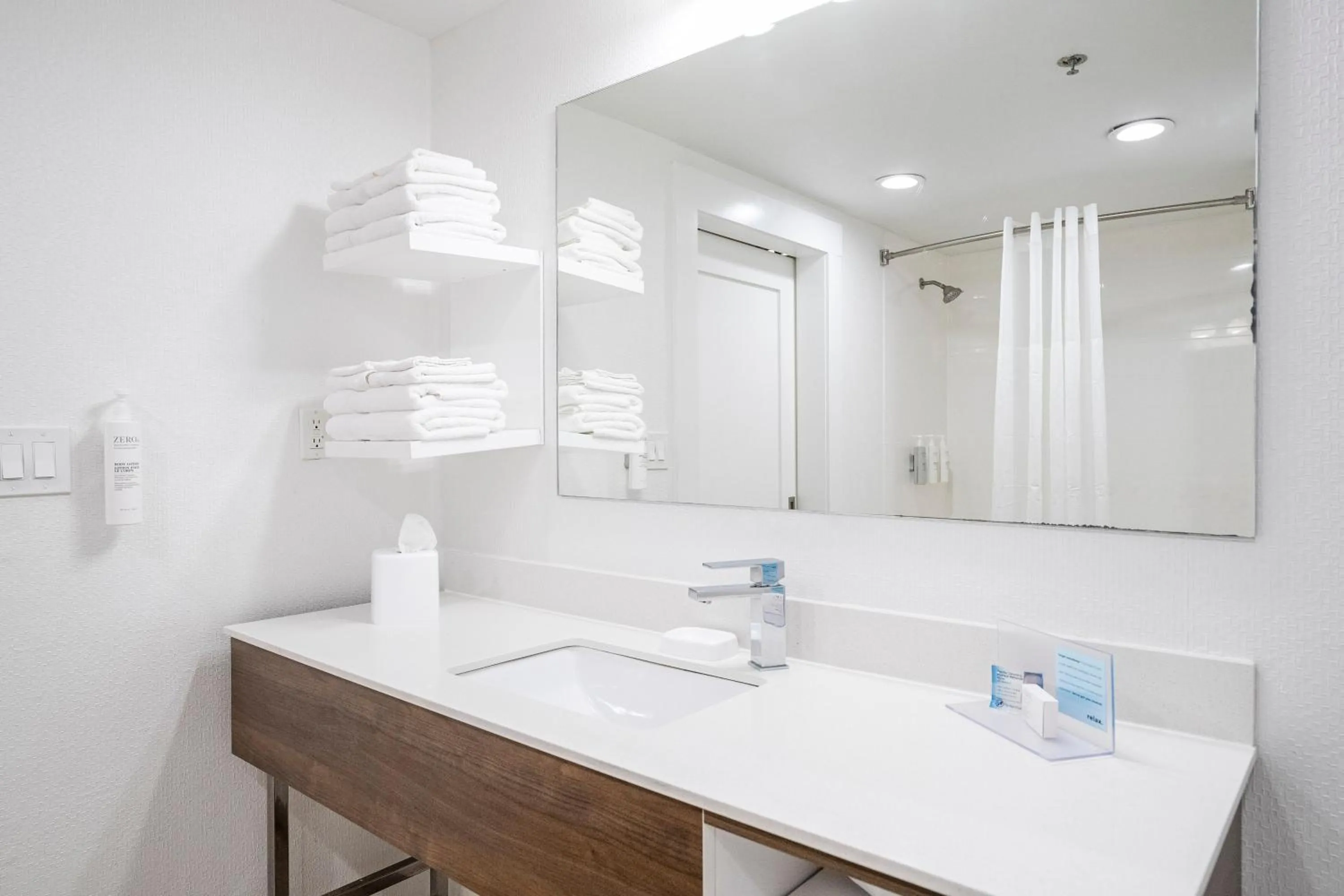 Bathroom in Hampton Inn by Hilton Spring Hill