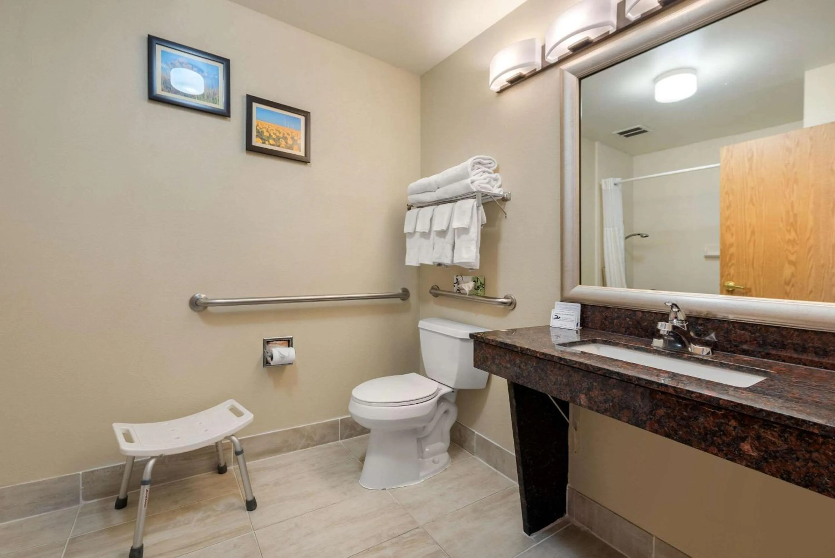 Bathroom in Comfort Inn Limon