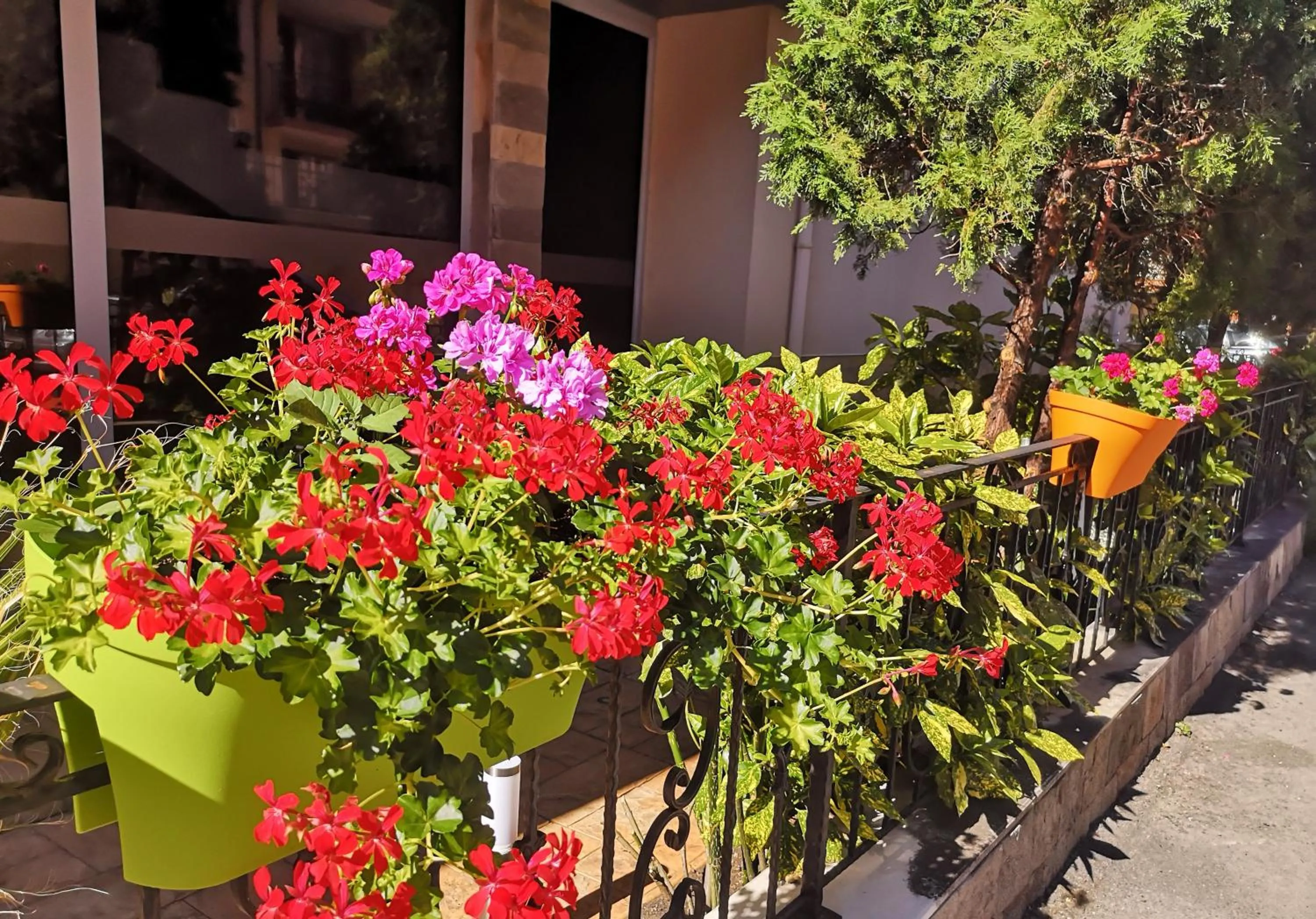 View (from property/room) in Tropics Hotel - Ultra All Inclusive