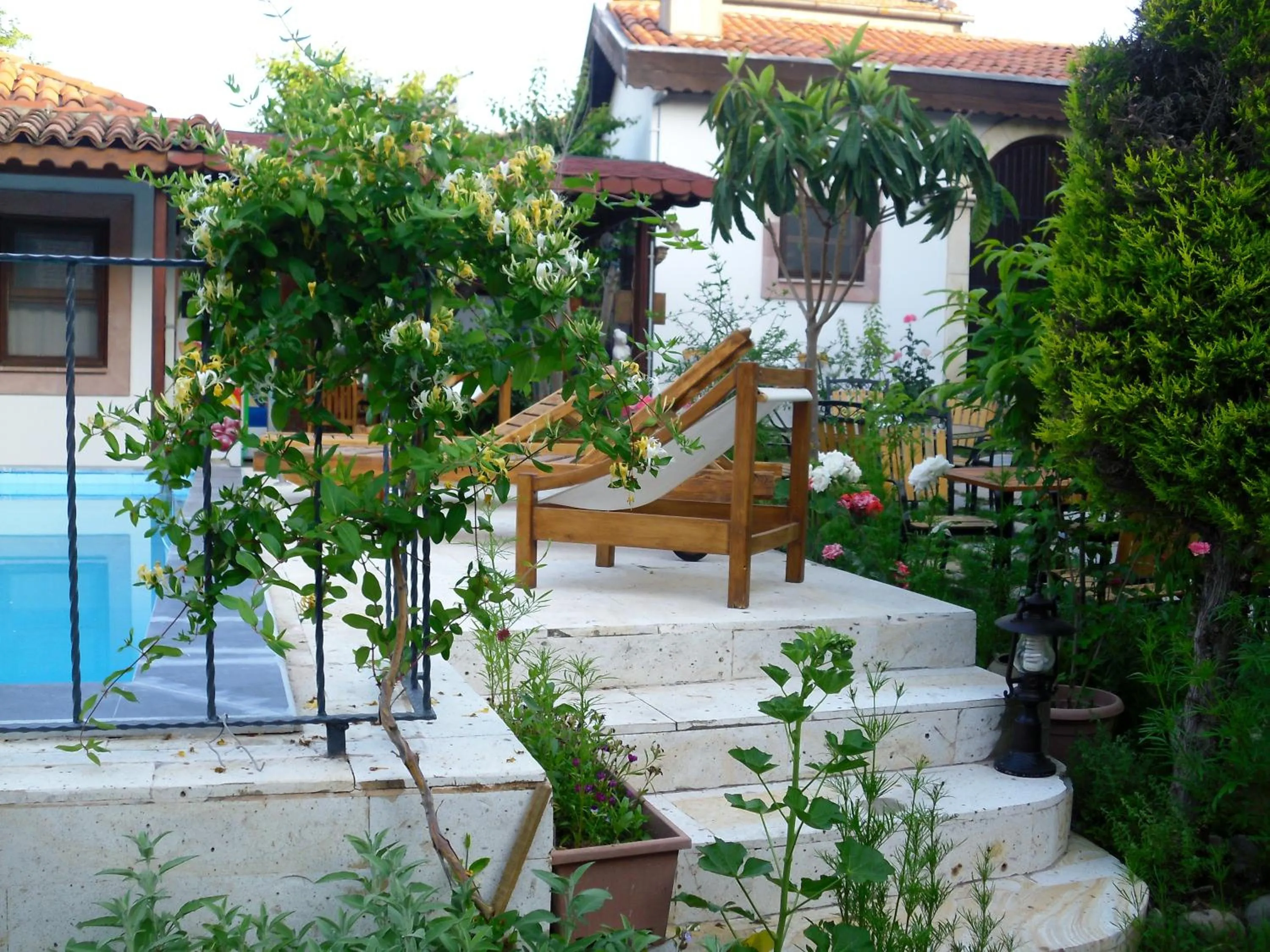 Garden in Akropolis Guest House