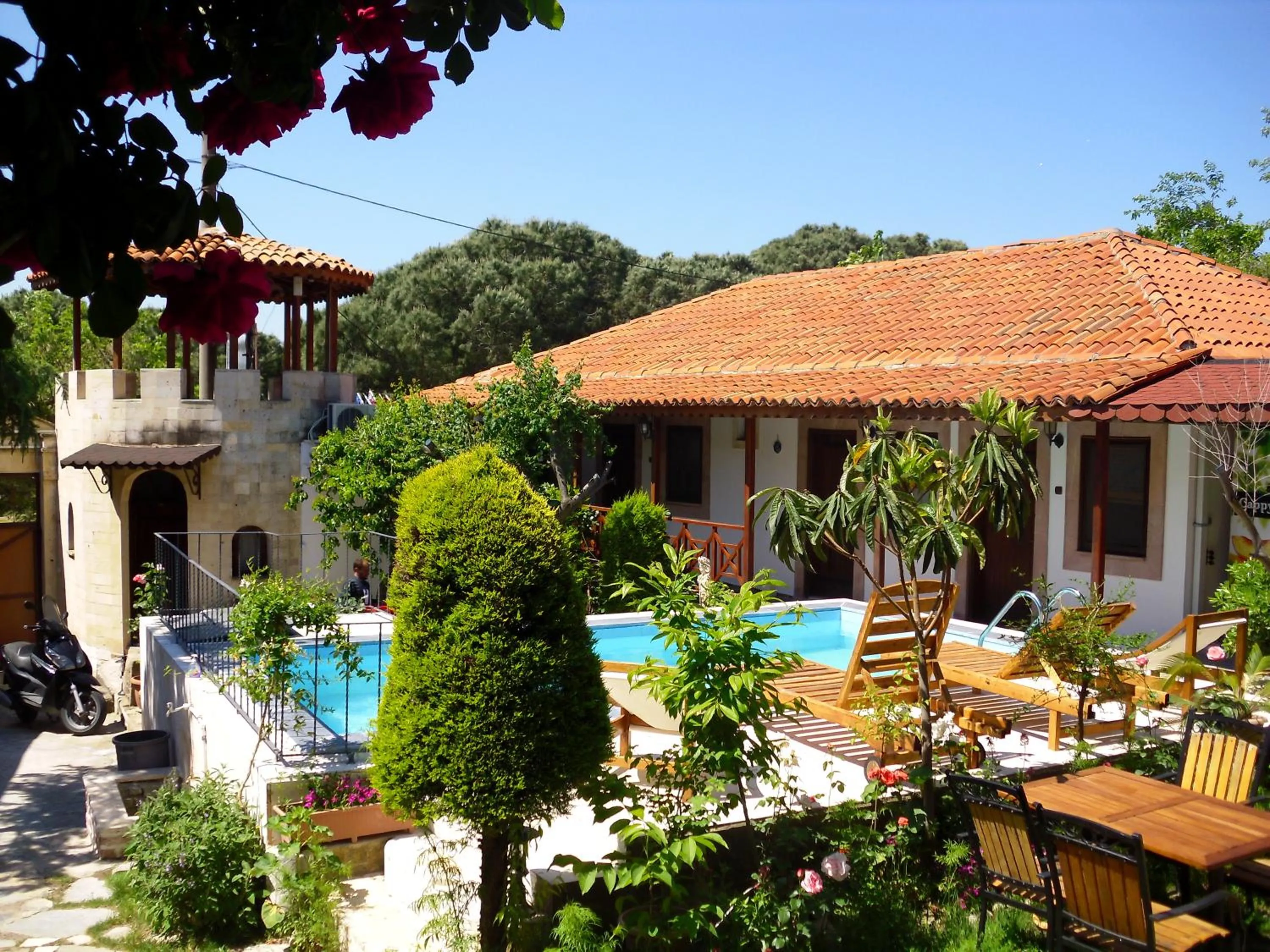 Garden view in Akropolis Guest House