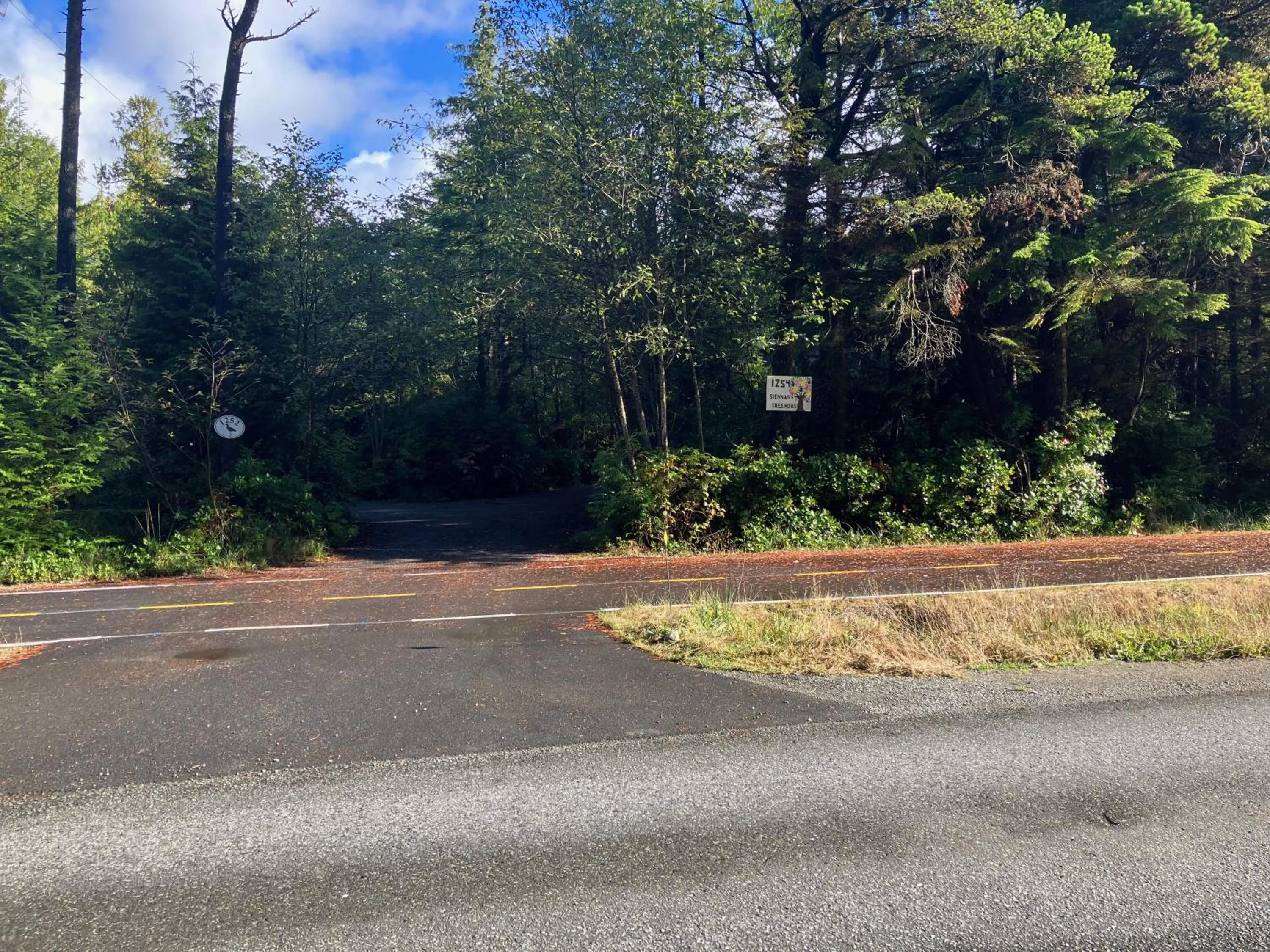 Sienna's Tree House (Tall Trees And Salty Breeze)