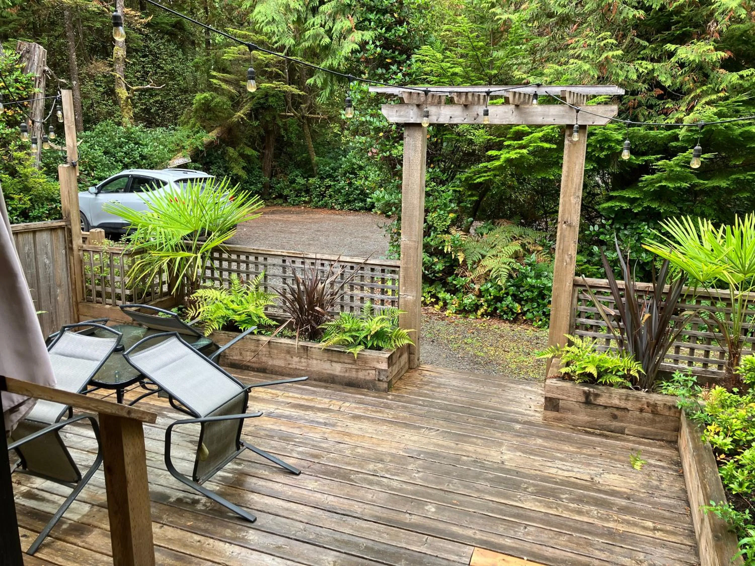 Sienna's Tree House (Tall Trees And Salty Breeze)