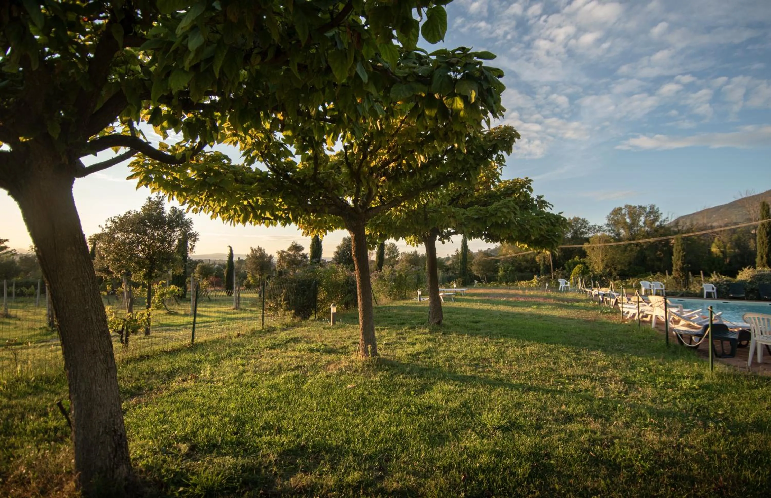 Garden in Agriturismo Sasso Rosso