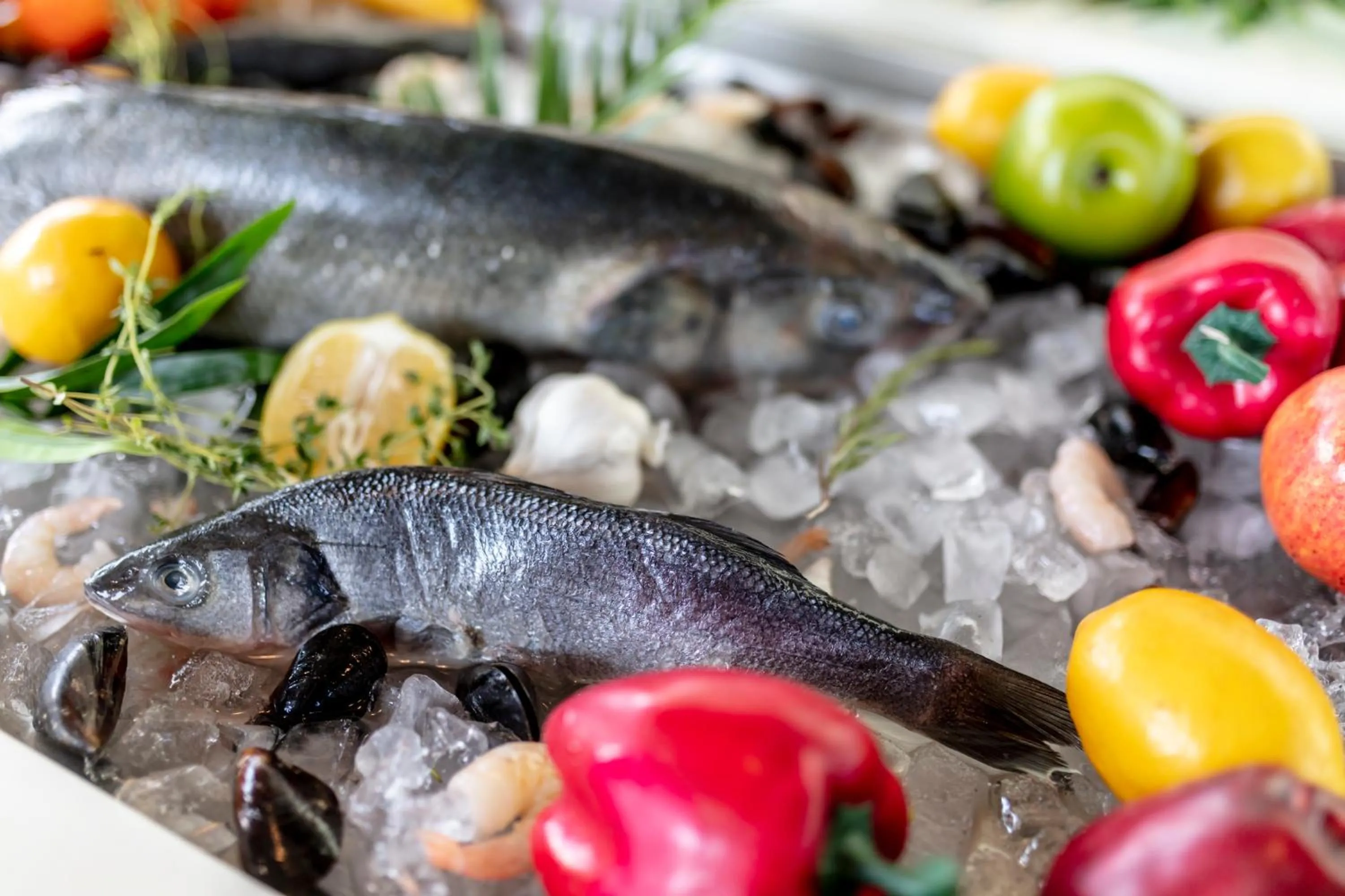 Restaurant/places to eat in Lighthouse Golf & Spa Hotel