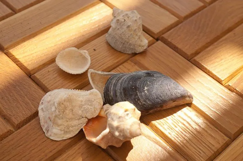 Beach in Lighthouse Golf & Spa Hotel