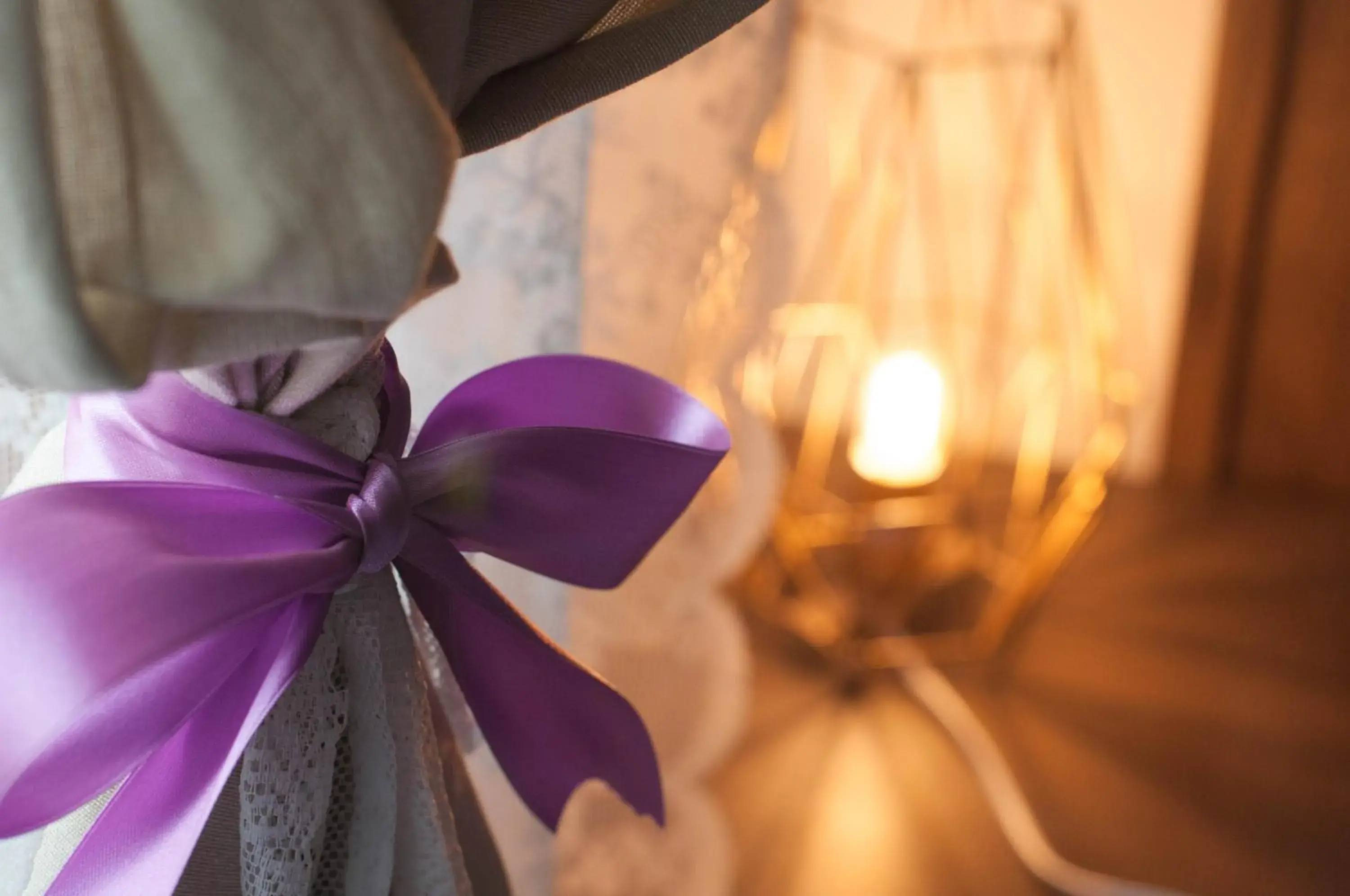 Pets in Soggiorno La Coccinella Pets in Soggiorno La Coccinella