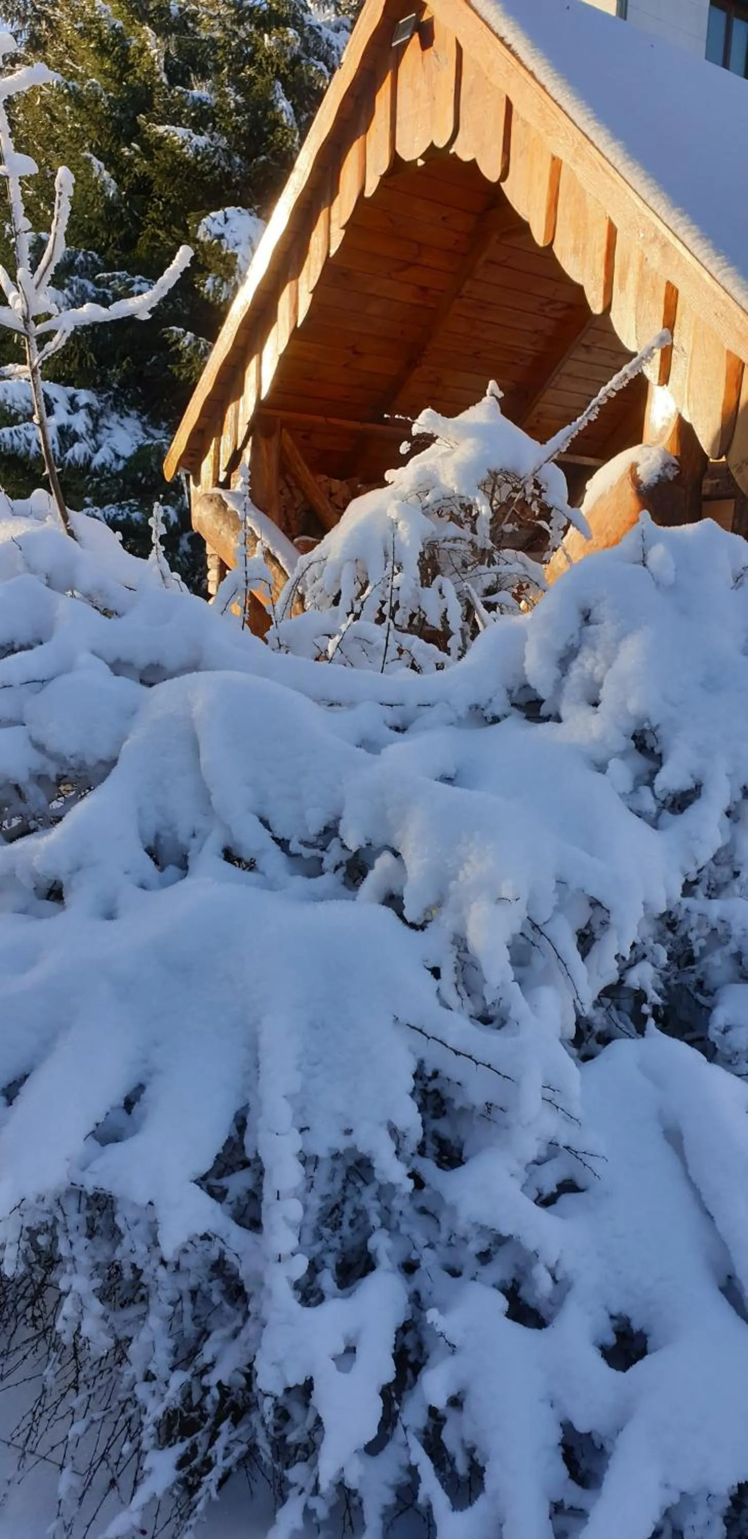 Natural landscape in Hotel Zum Gründle