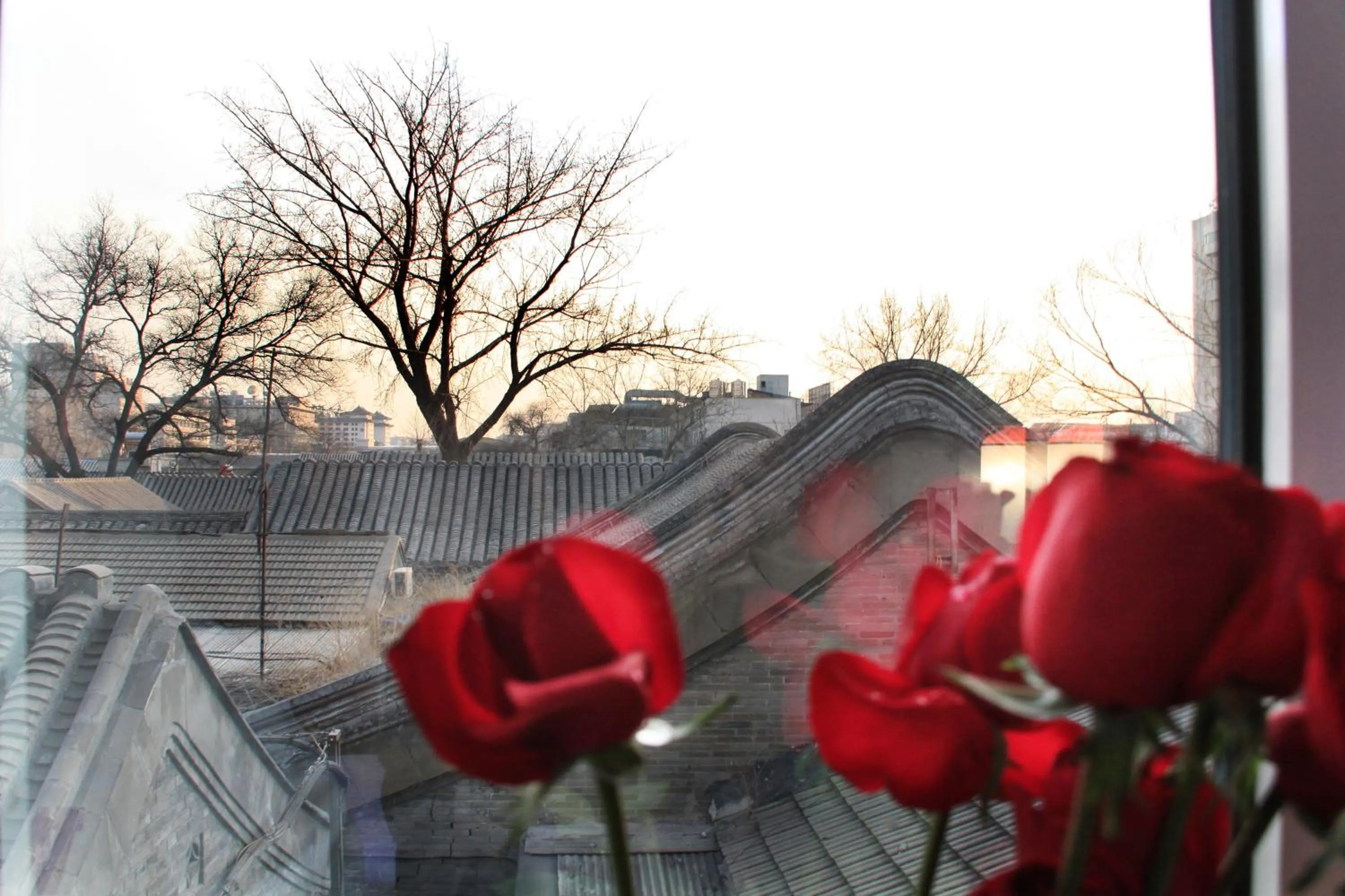 View (from property/room) in Chinese Culture Holiday Hotel 唐府