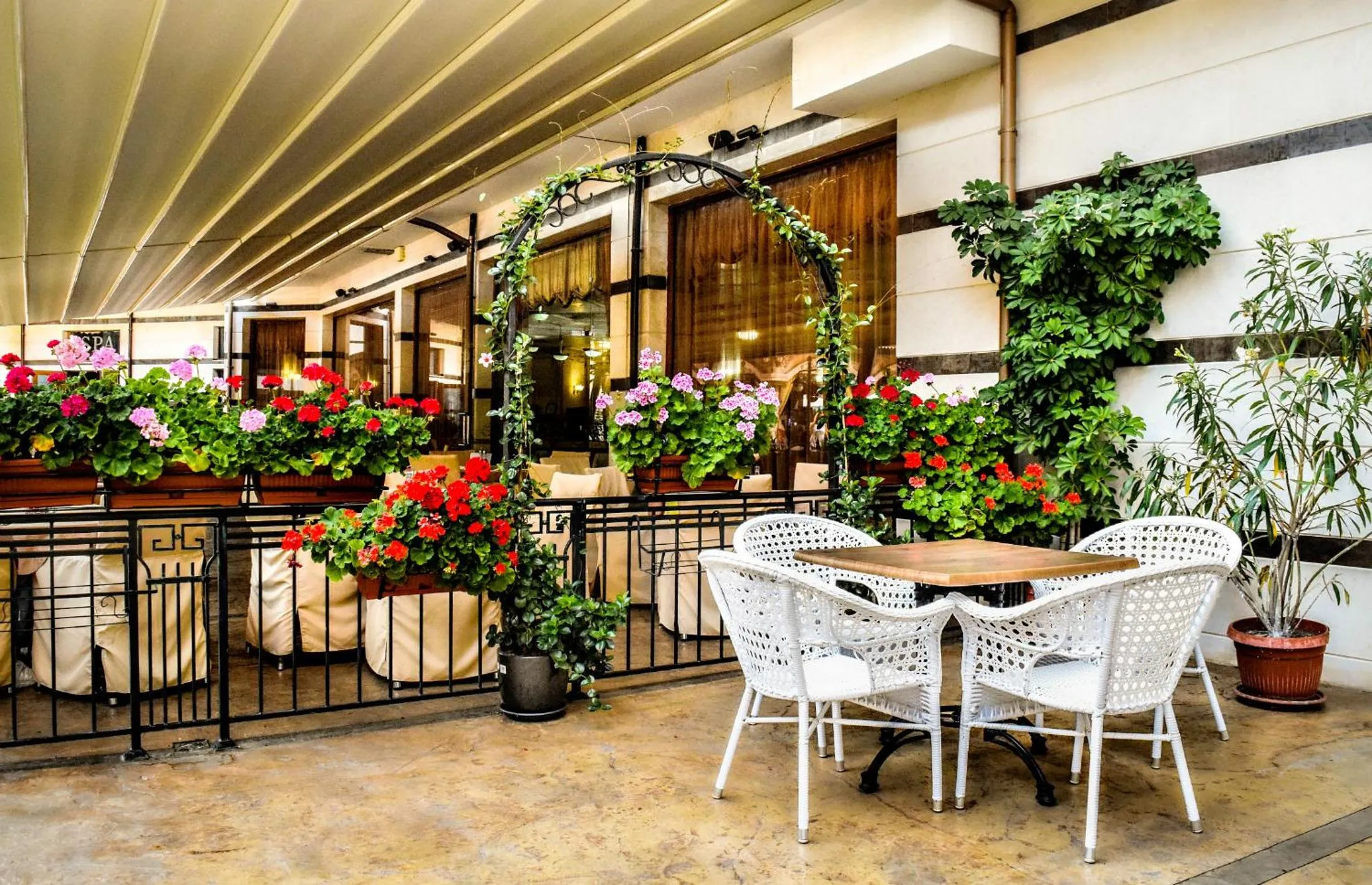 Garden in Karolina Hotel