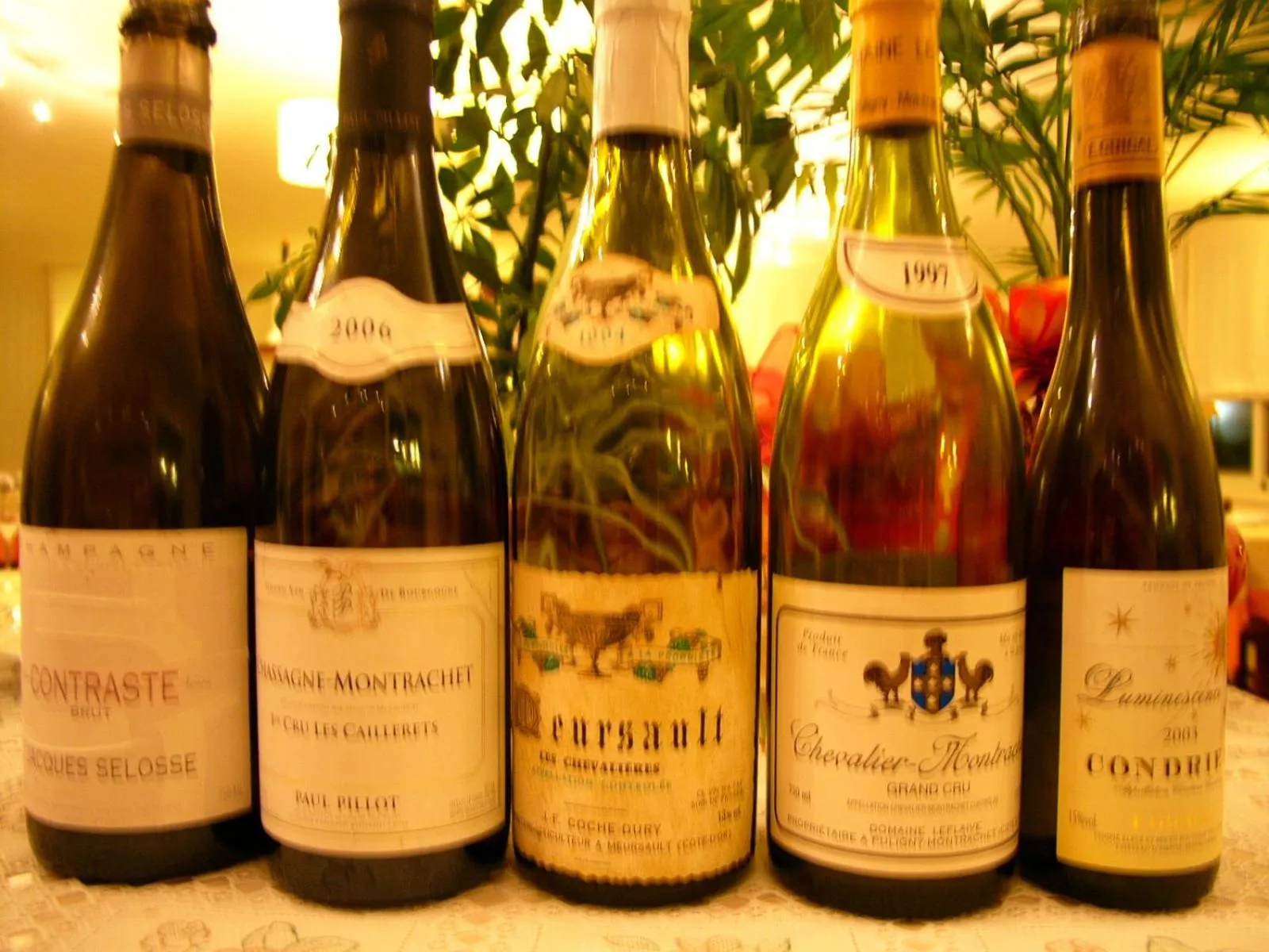 Restaurant/places to eat in Hotel Lido