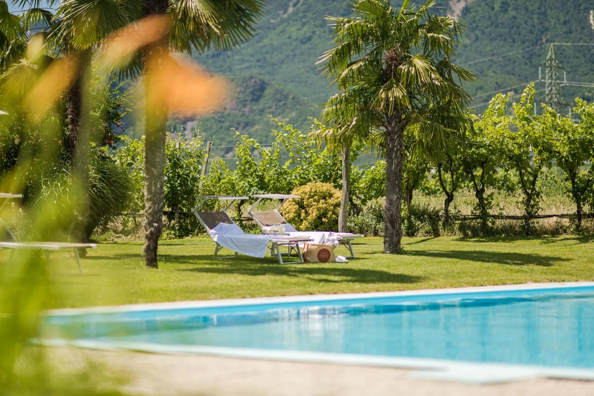 Garden in Hotel Mandelhof