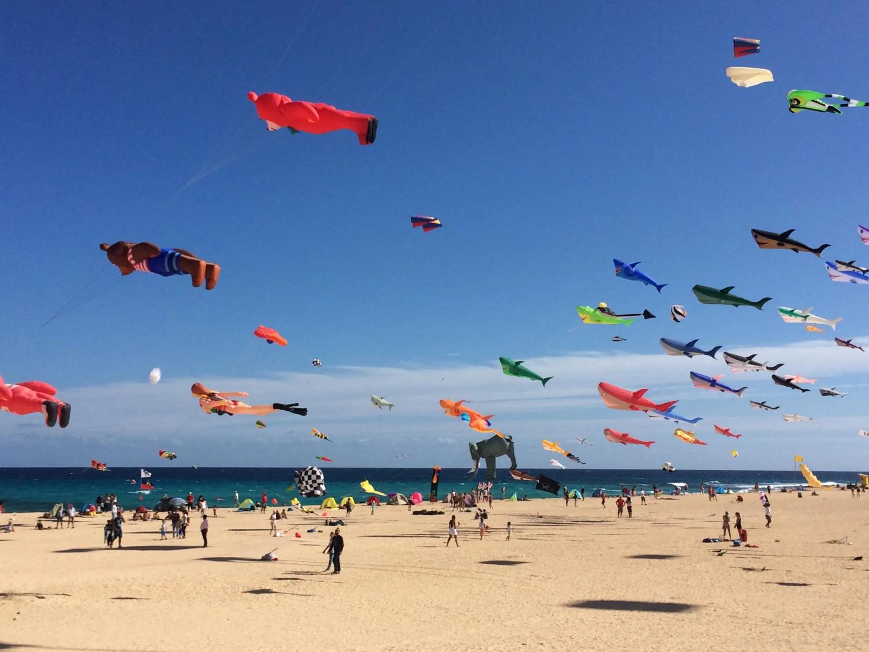 Nearby landmark in Bungalow Silvia