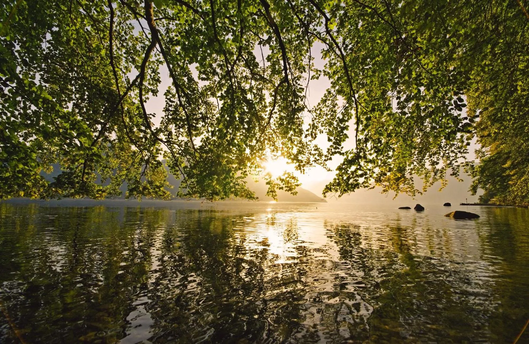 Spring in Hotel Seaside