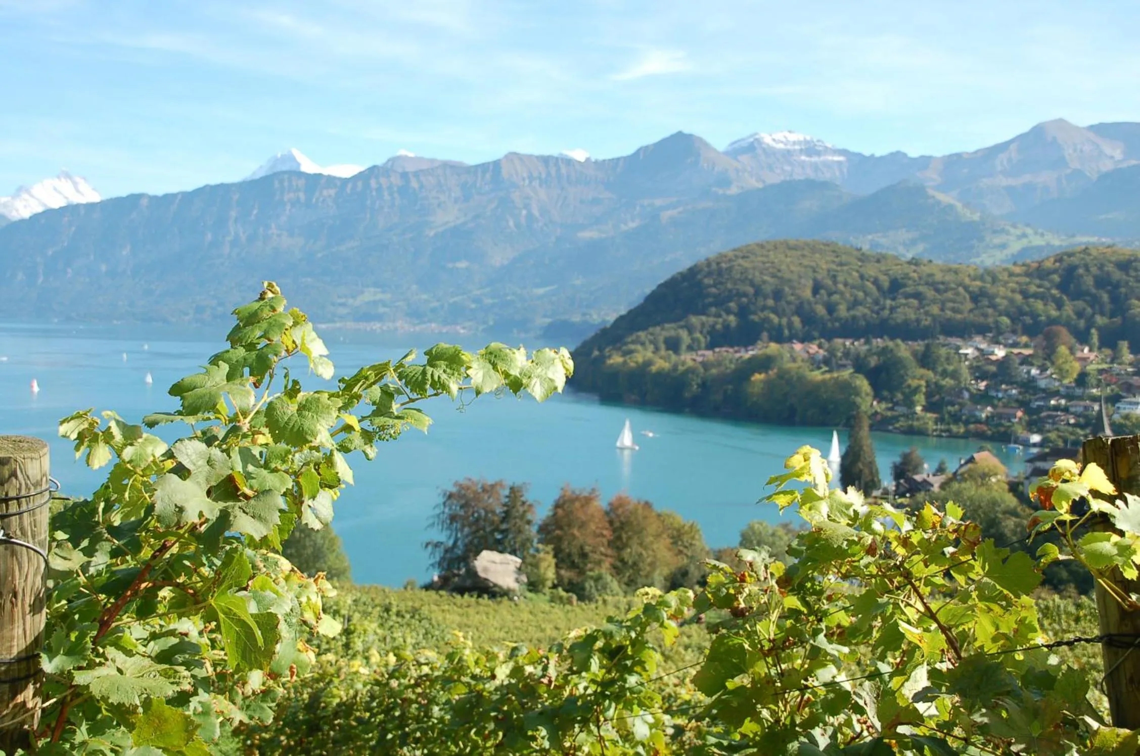 Other in Hotel Seaside