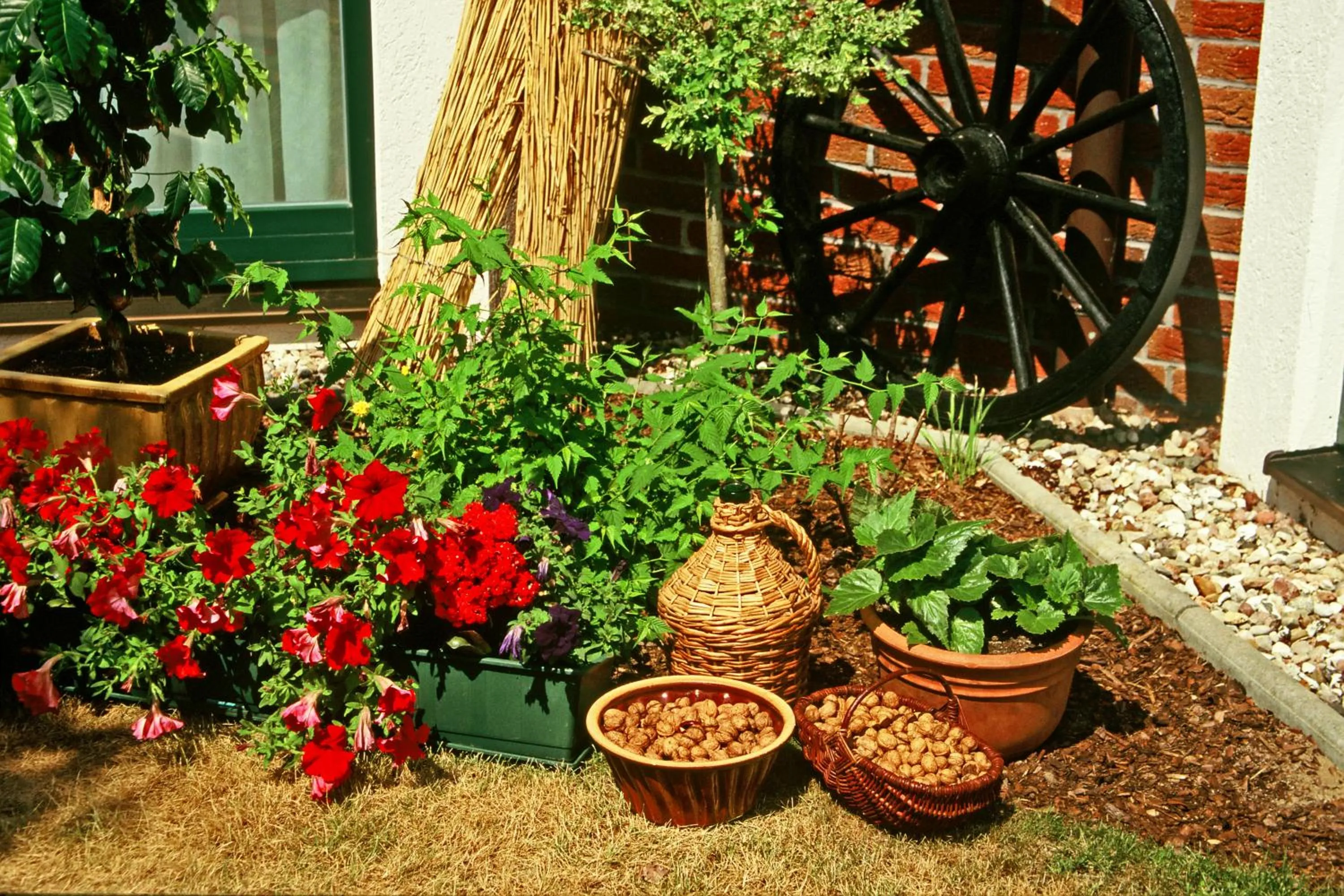 Garden in Hotel Garni Nussbaumhof