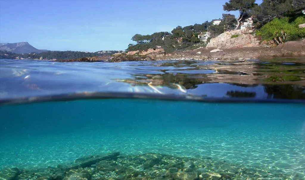 Les Pieds dans l'Eau