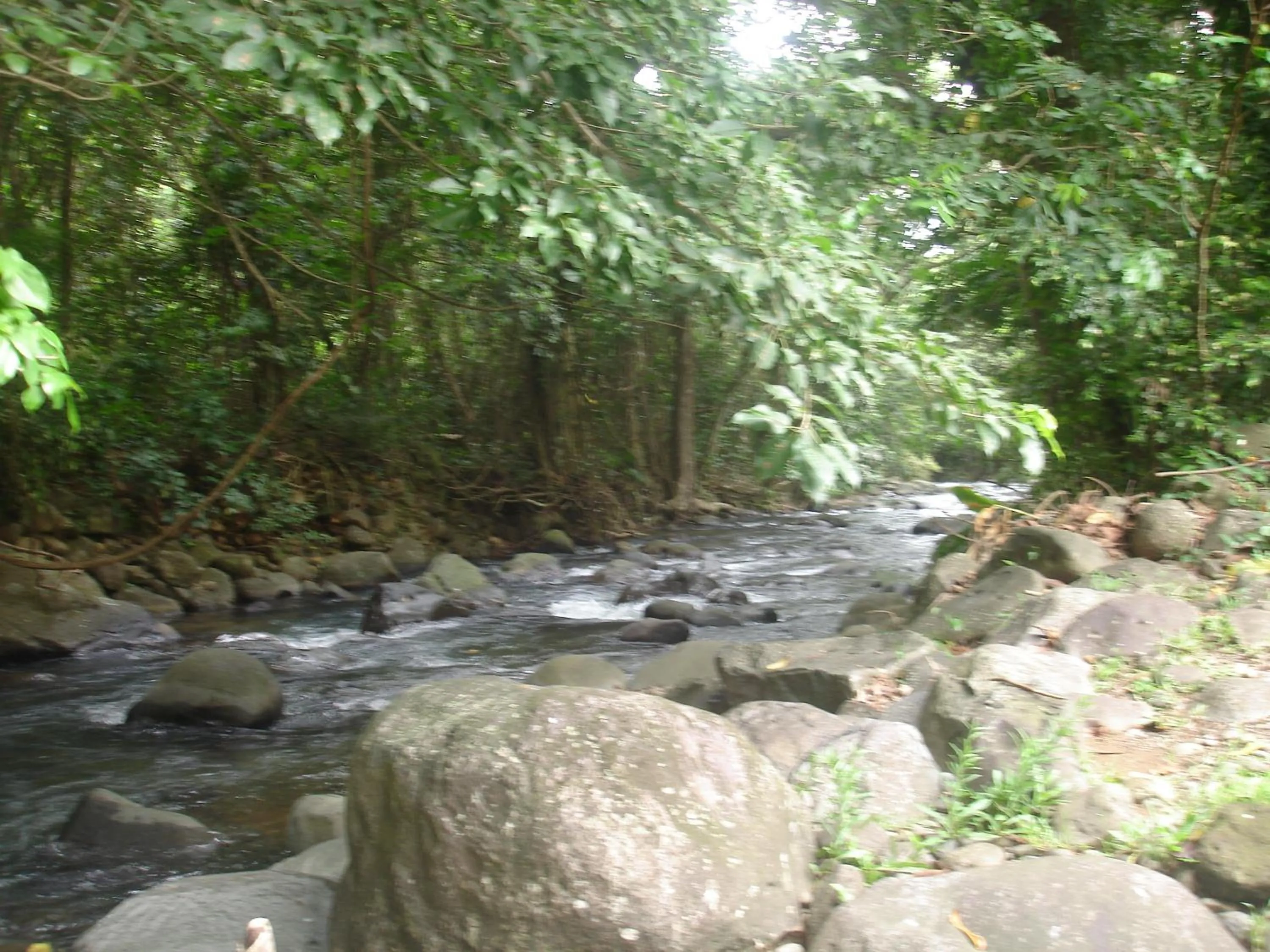 Open Air Bath in Kootney Resorts