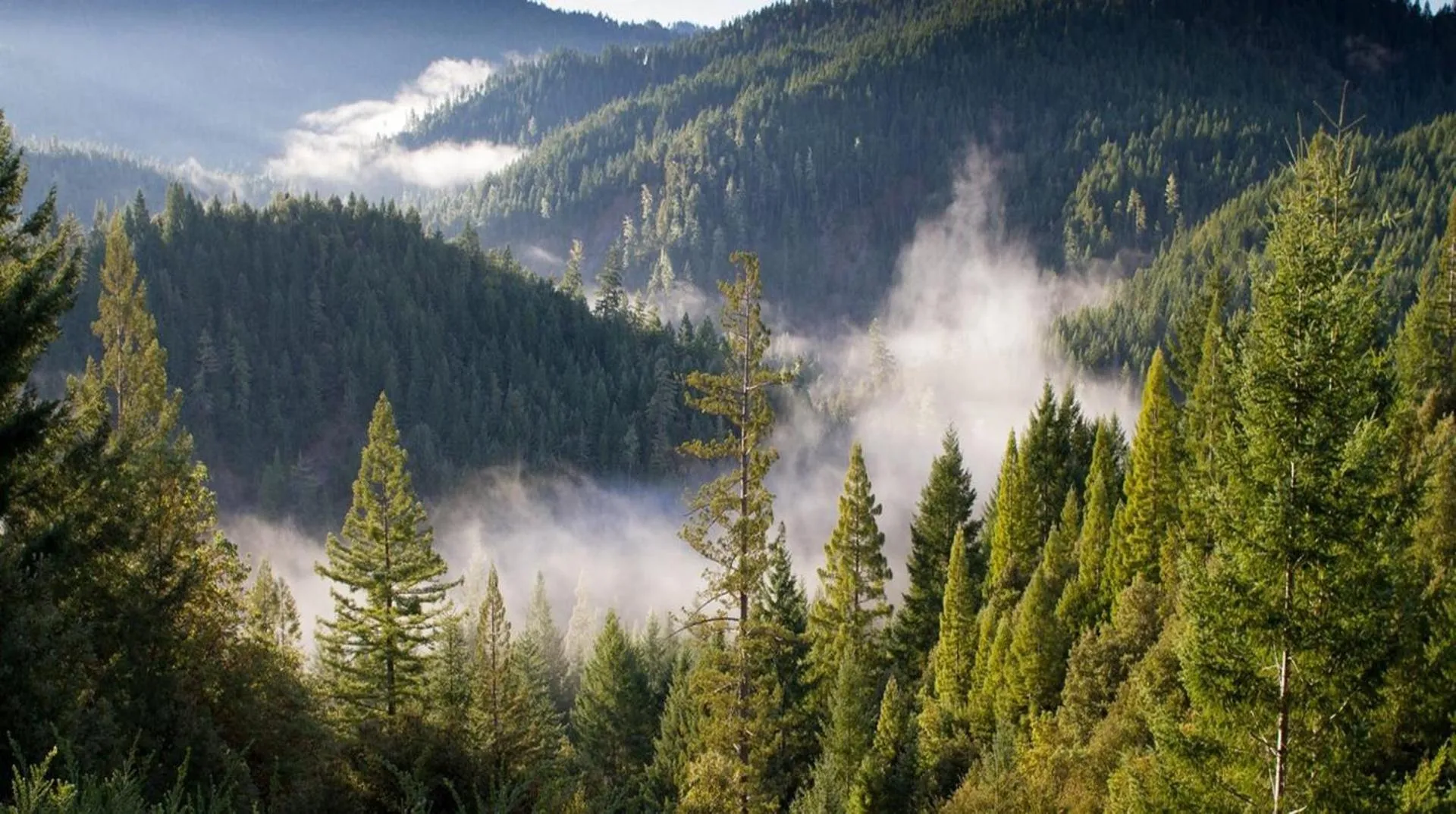 Location in Parnis Palace