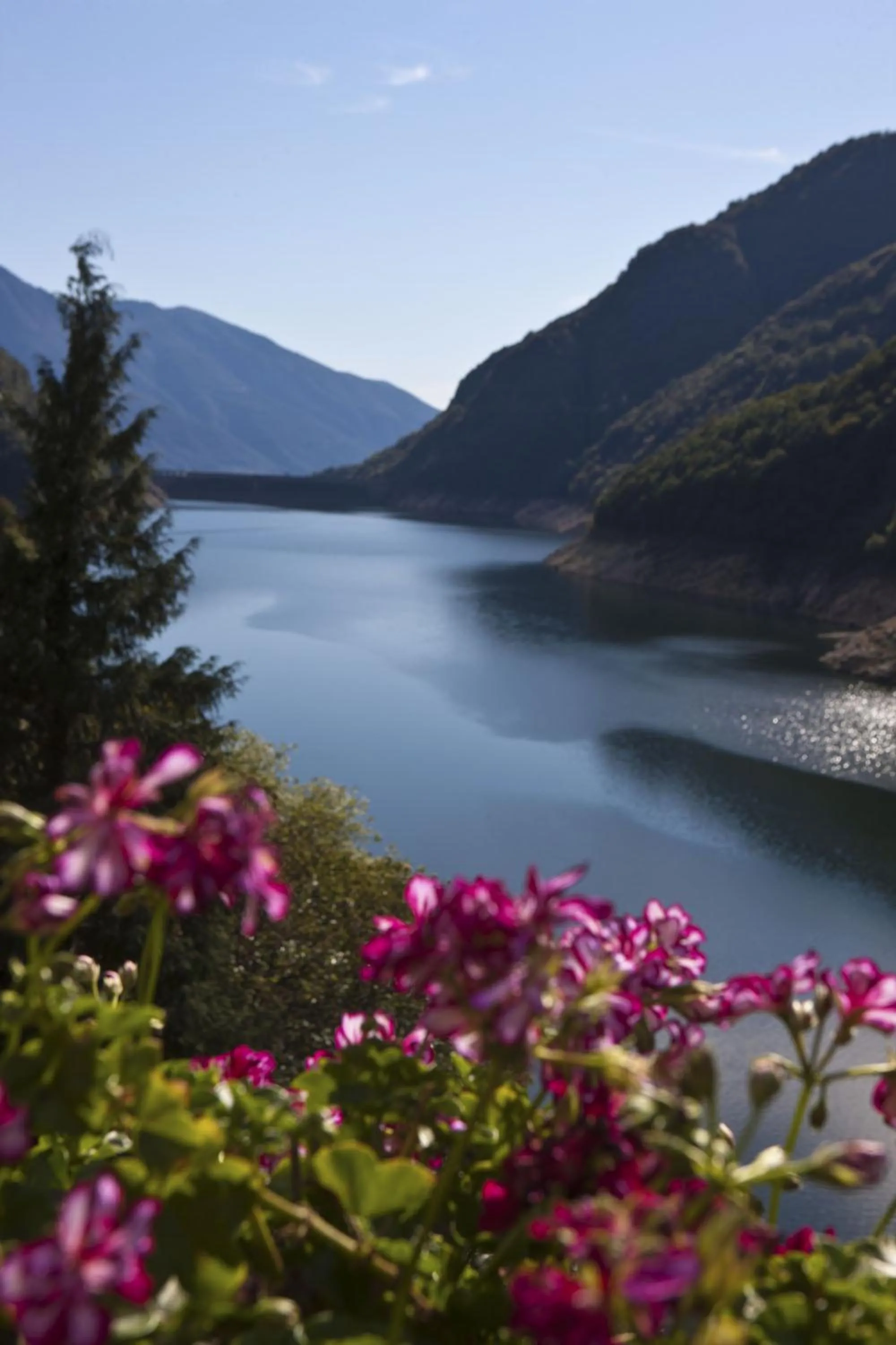 View (from property/room) in Hotel Al Lago