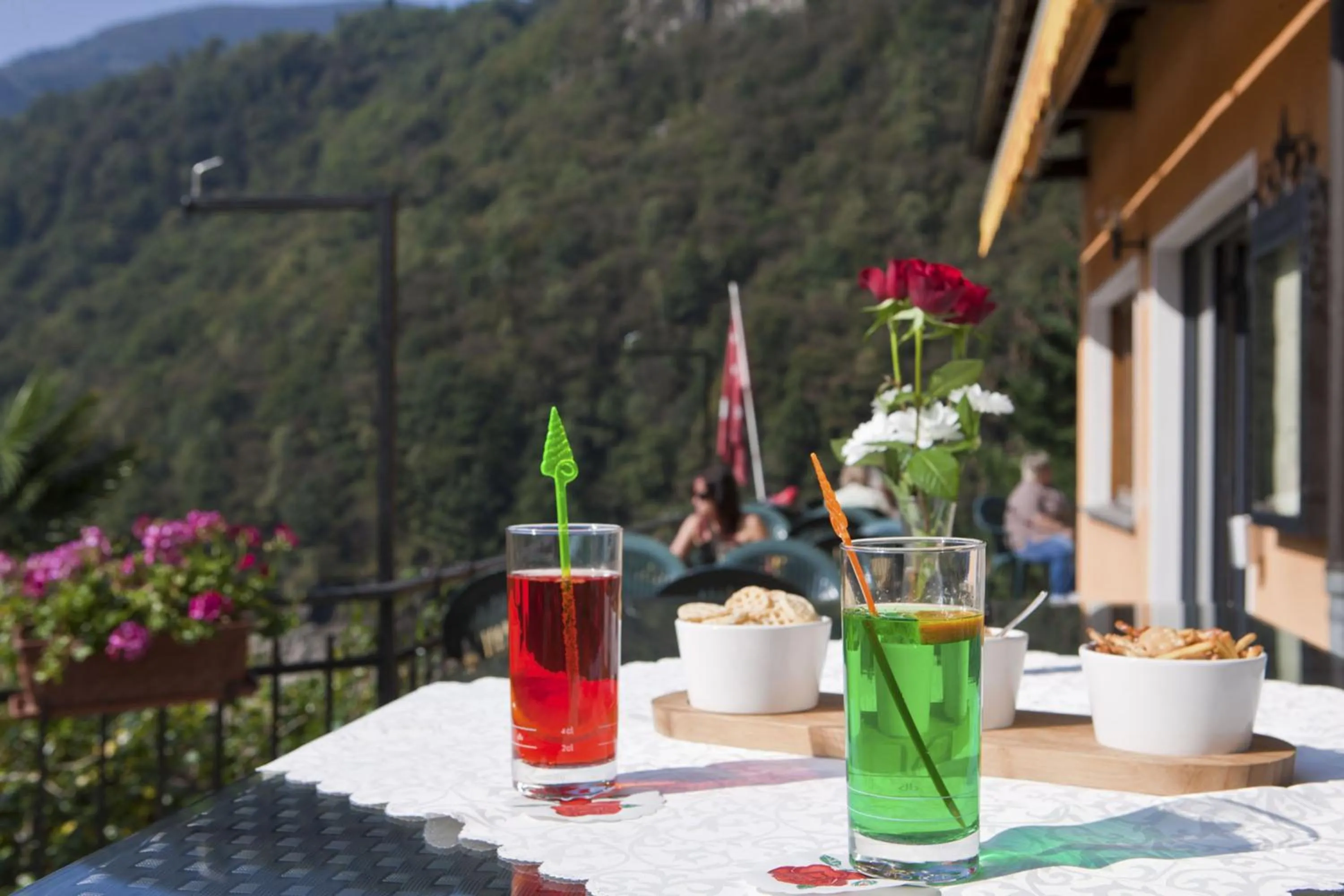 Food and drinks in Hotel Al Lago