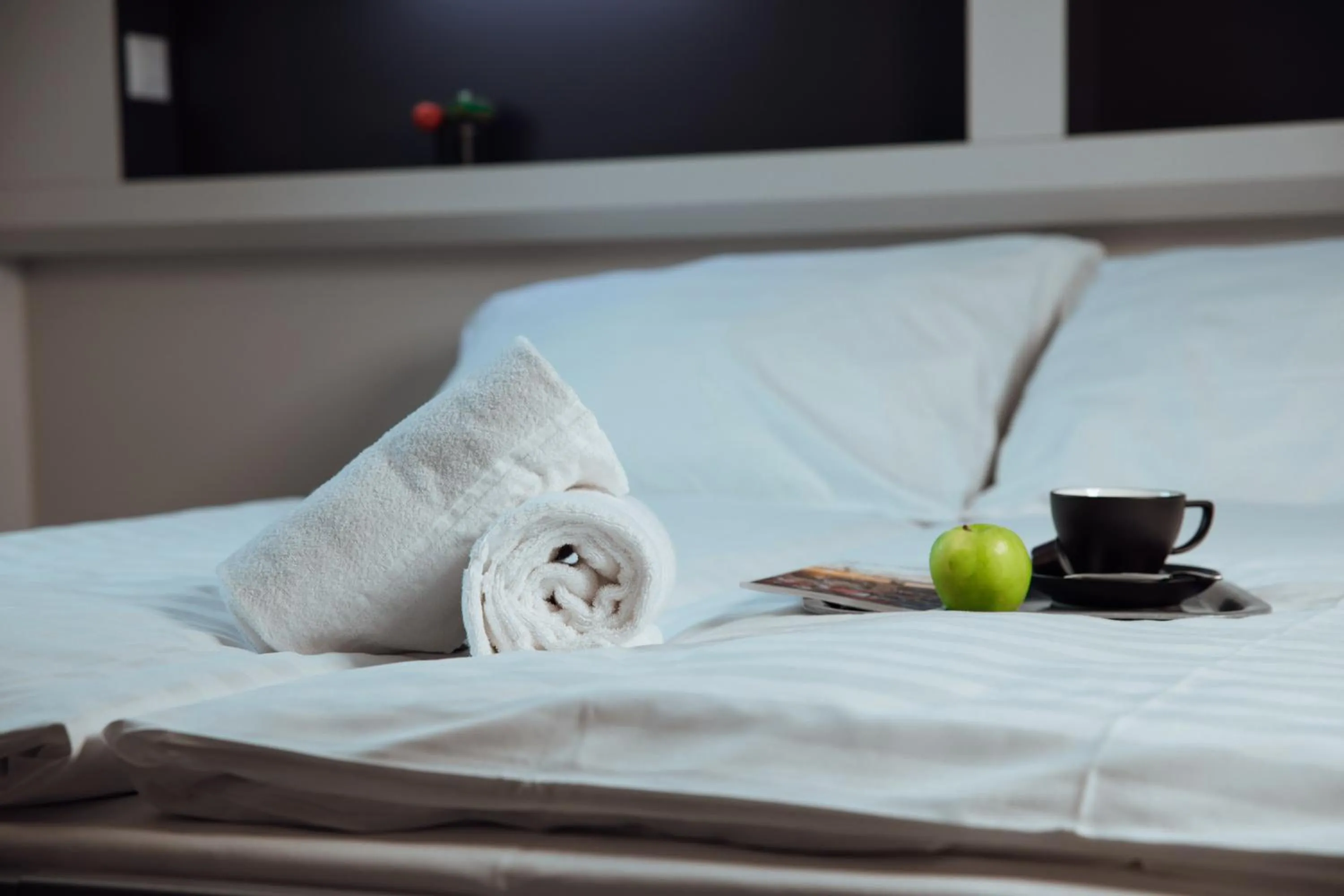 Bed in My Hotel Fribourg