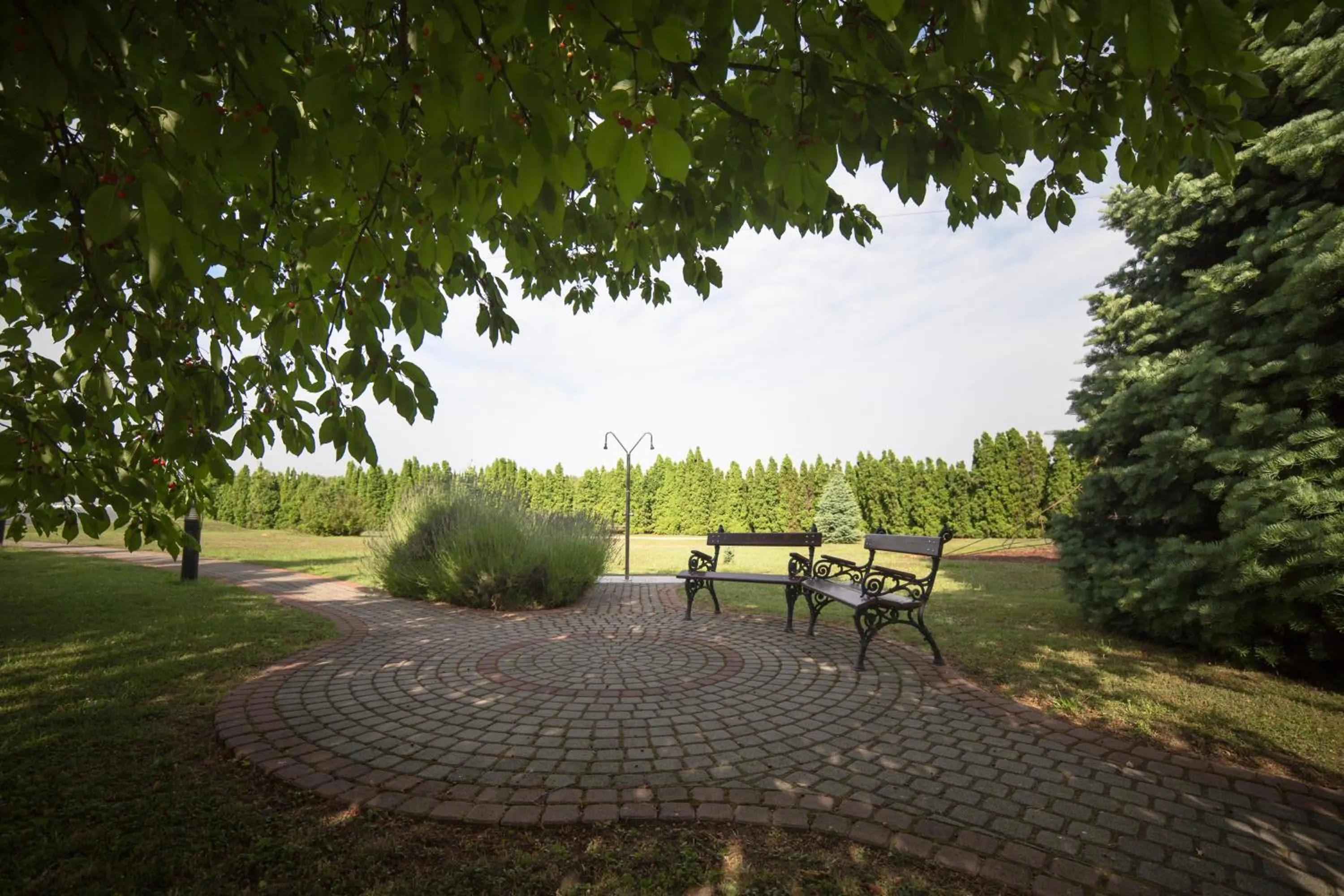 Garden in Hotel Ovit